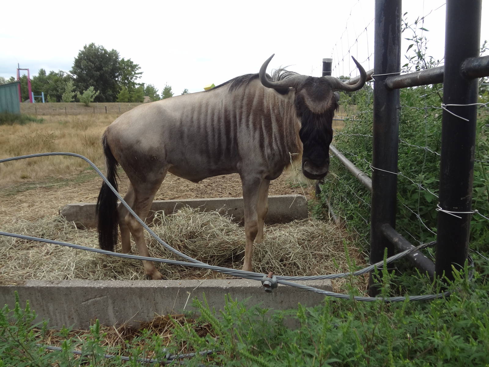 What are you looking at...?