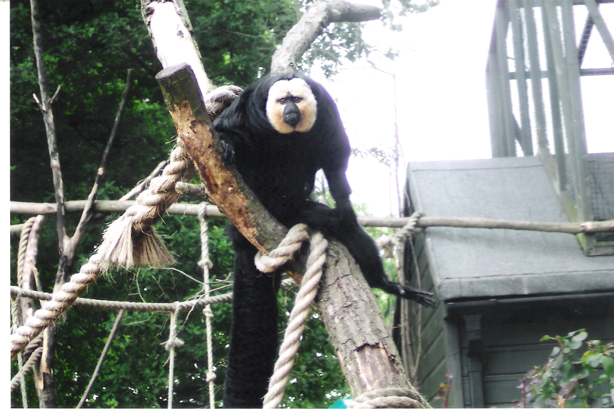 What are you looking at?