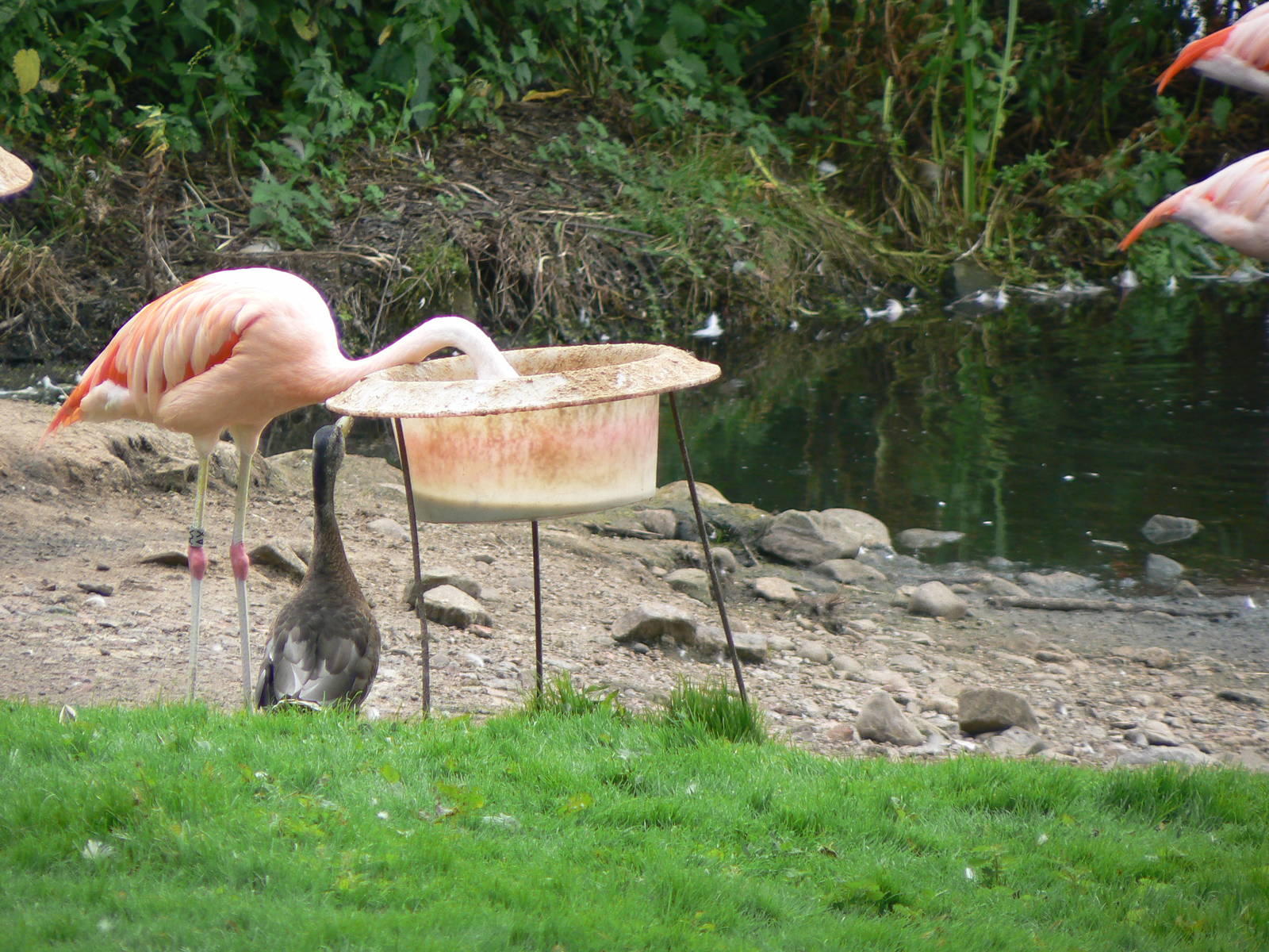 What Are You Looking At?