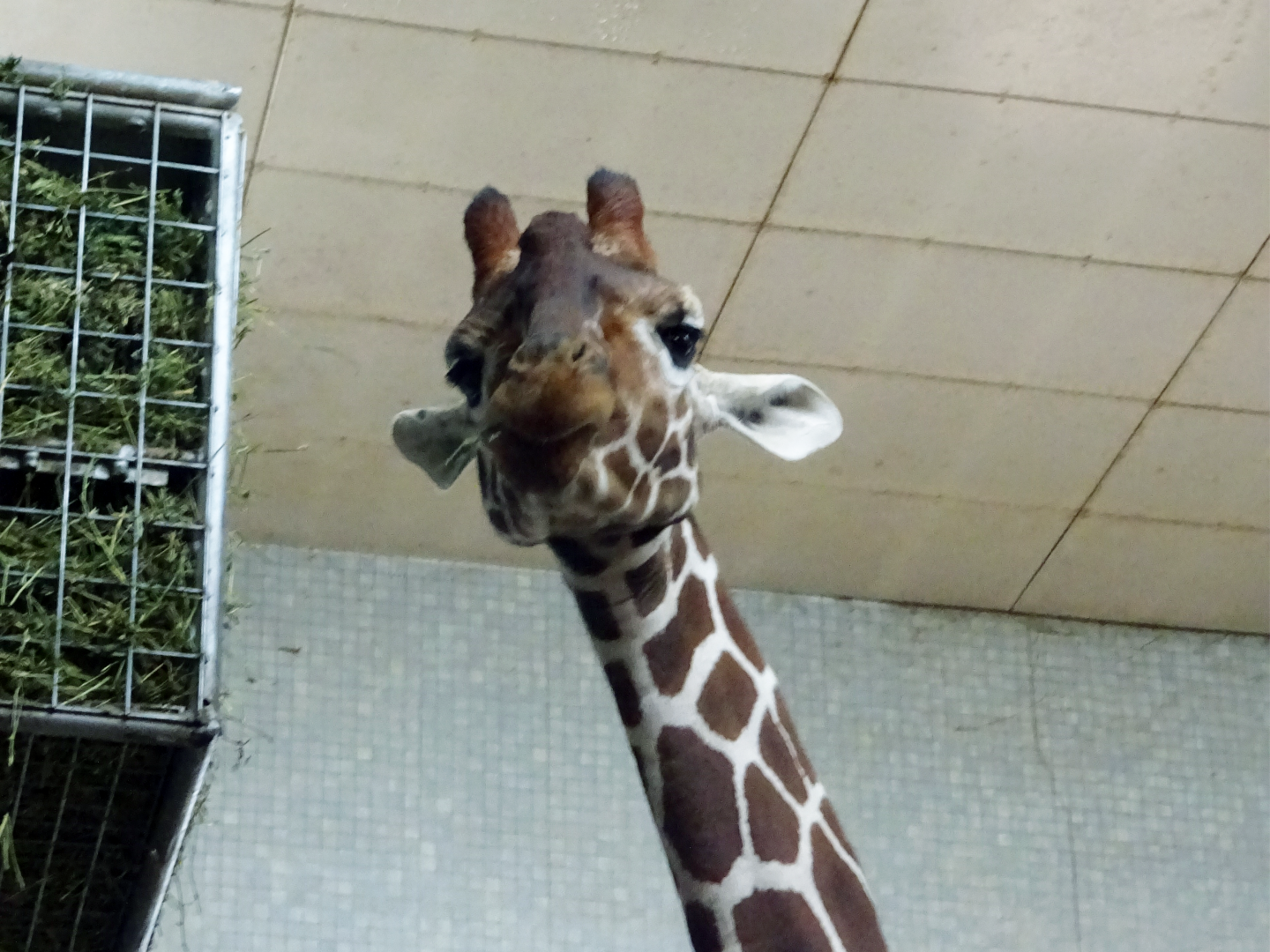 What are you looking at?