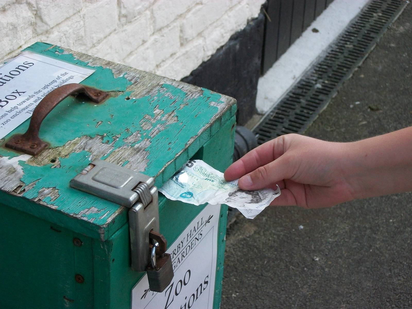 What are you wondering - why is KeeperKatie popping ?5 into the zoo donatio