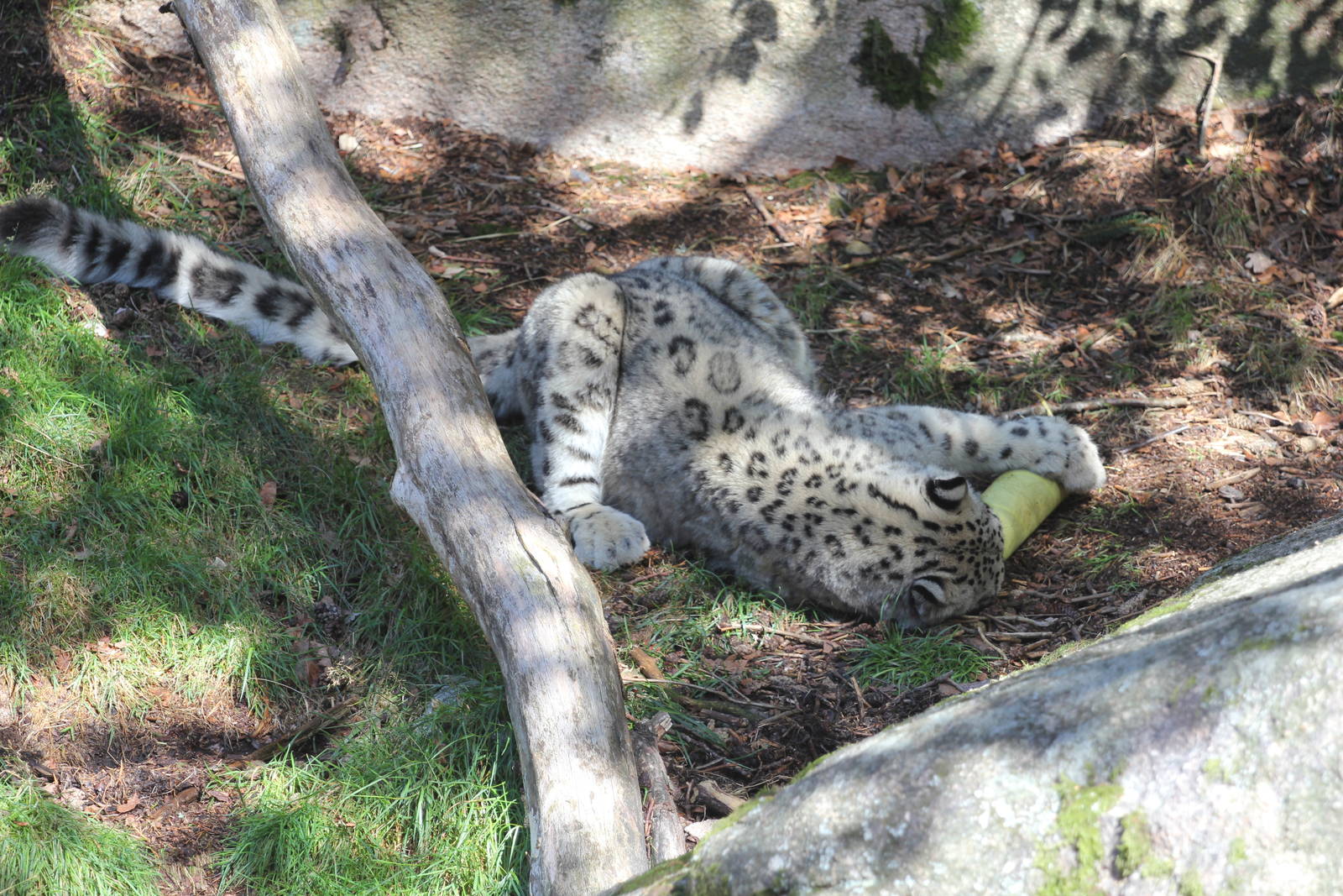 What can I find here?