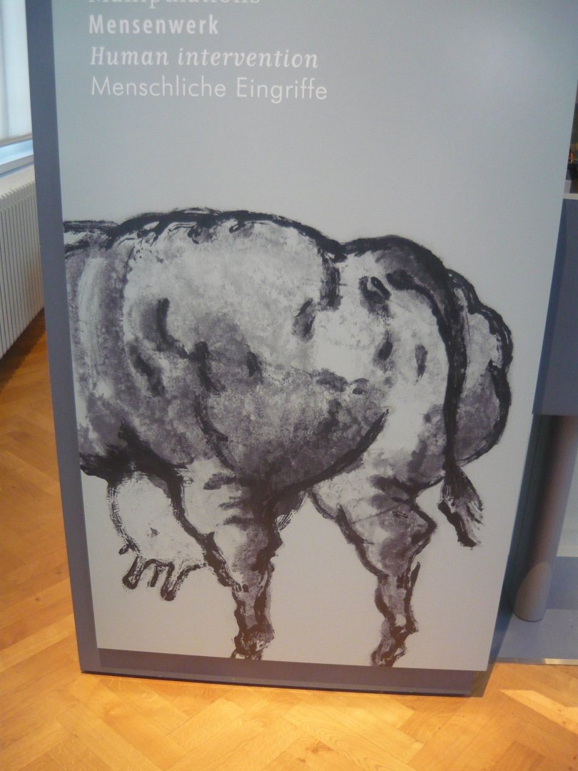 What??? Cow's backside?