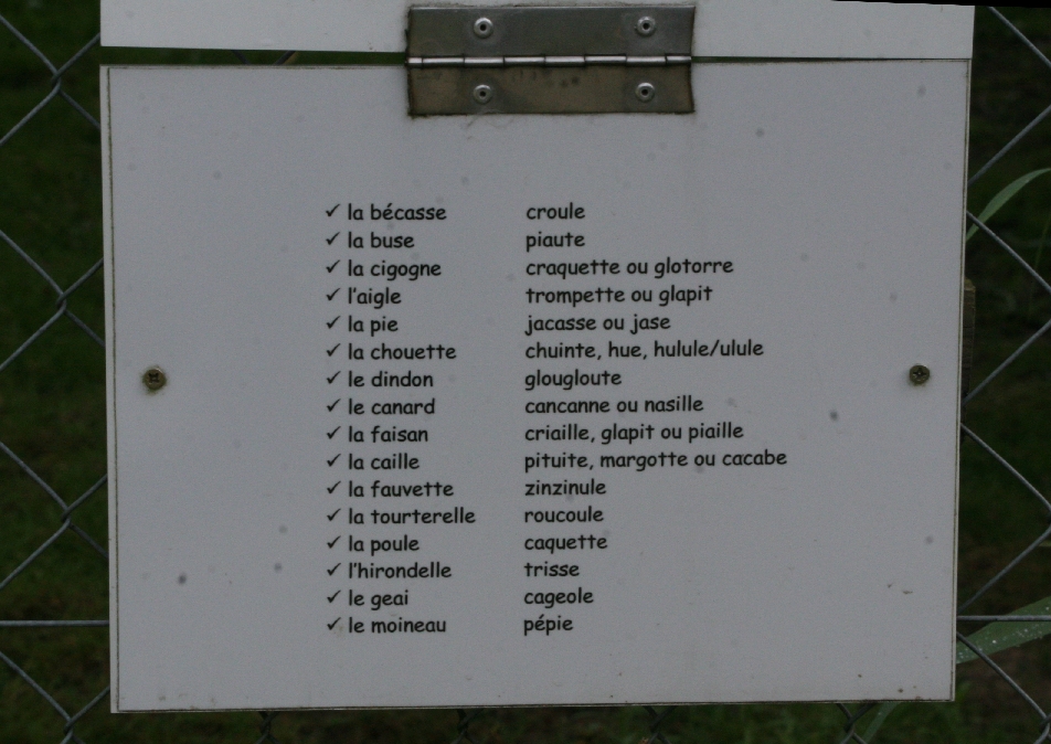 What does each bird sound like? - Answer