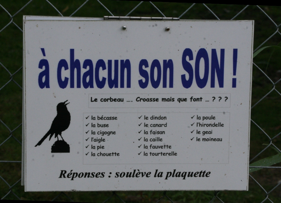 What does each bird sound like? - Question