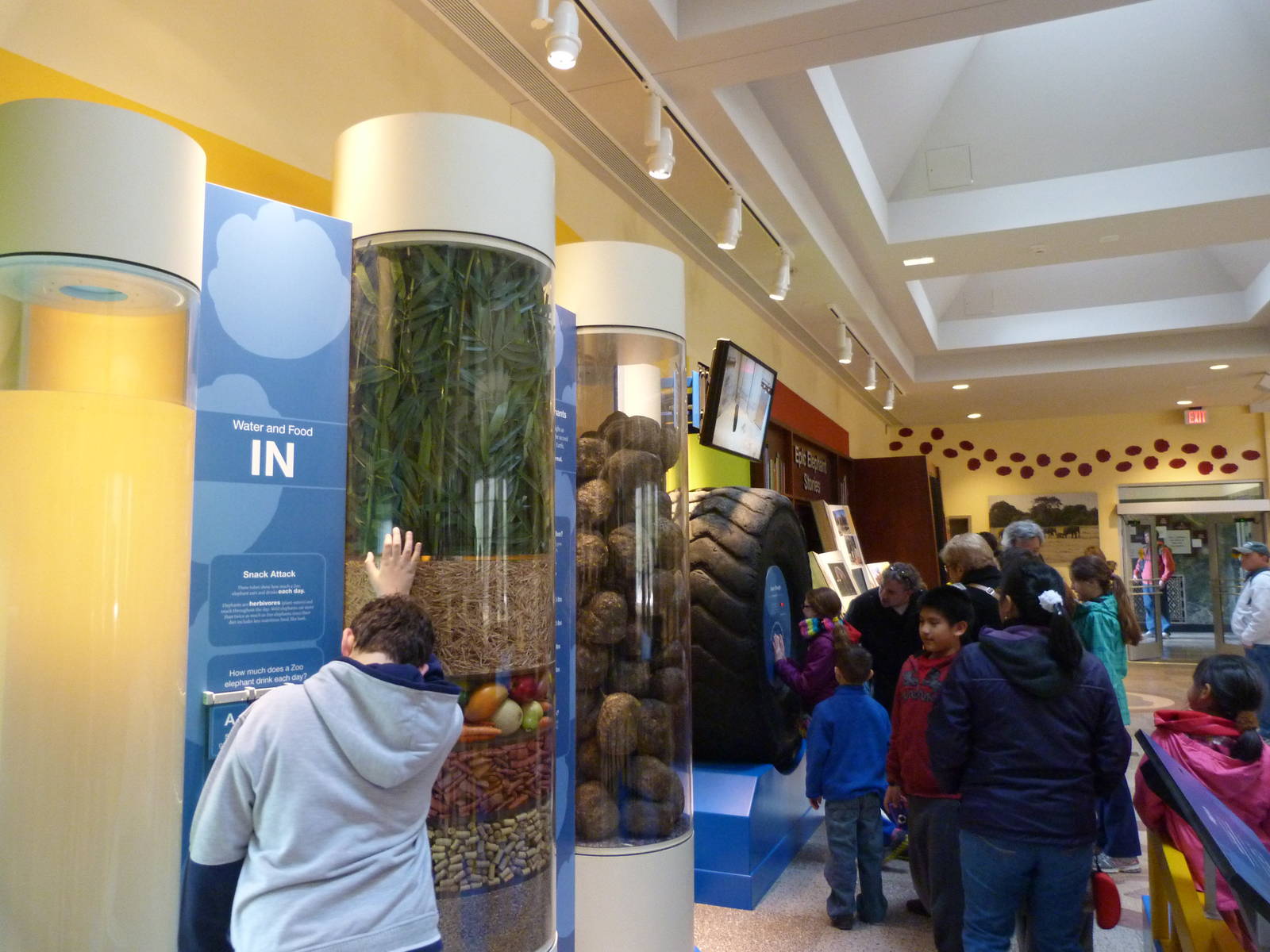 What Goes In...Goes Out