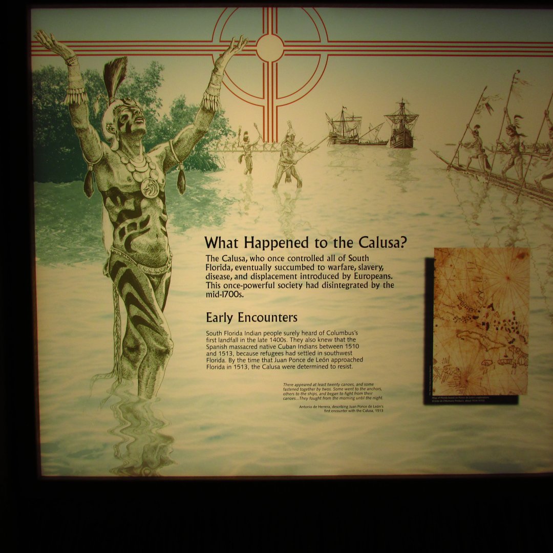 What Happened To The Calusa?