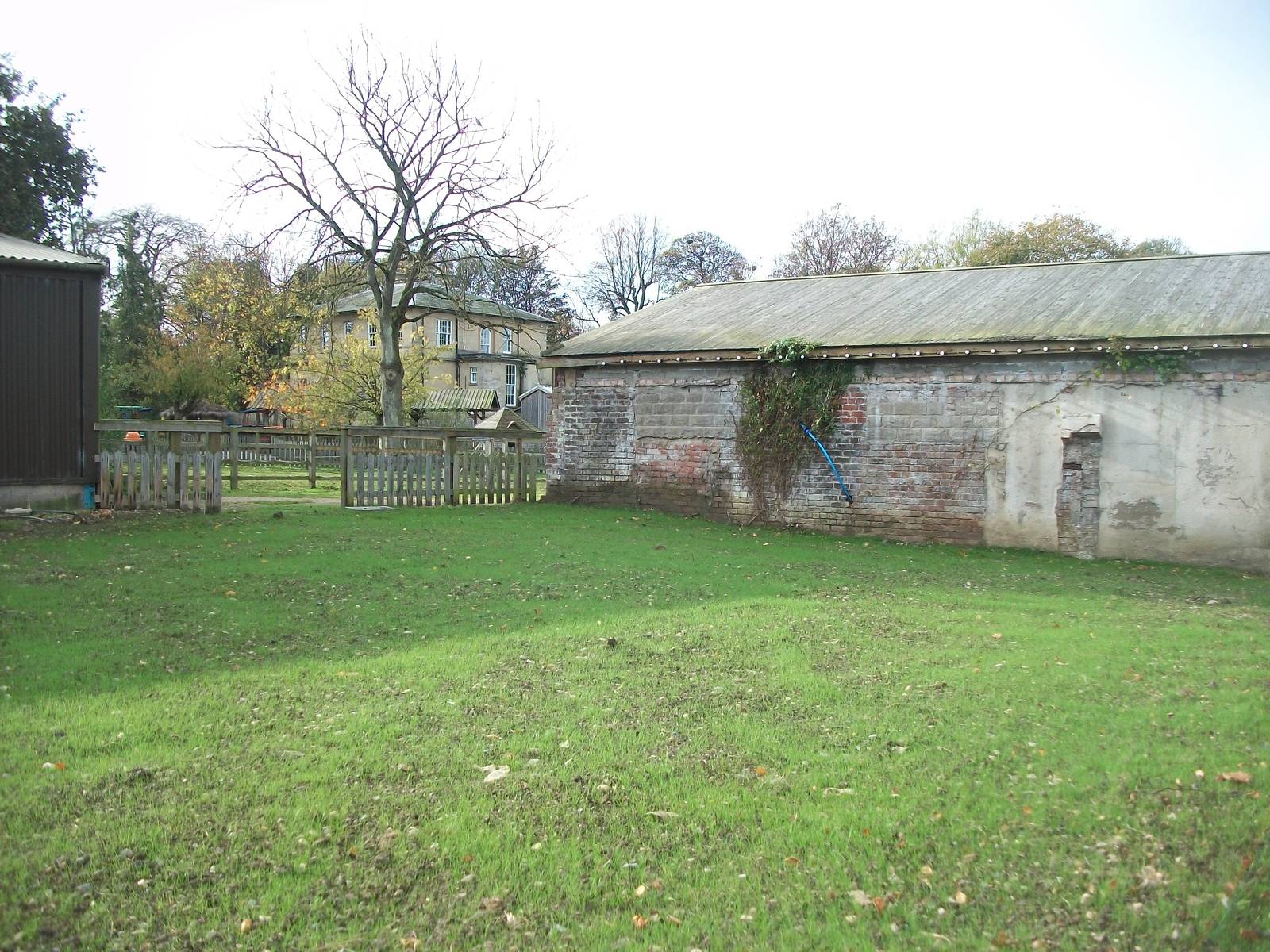 What happened to the Reptile House? 31st October 2013