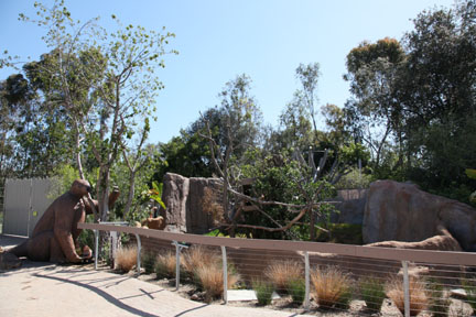 What happened to the trees?