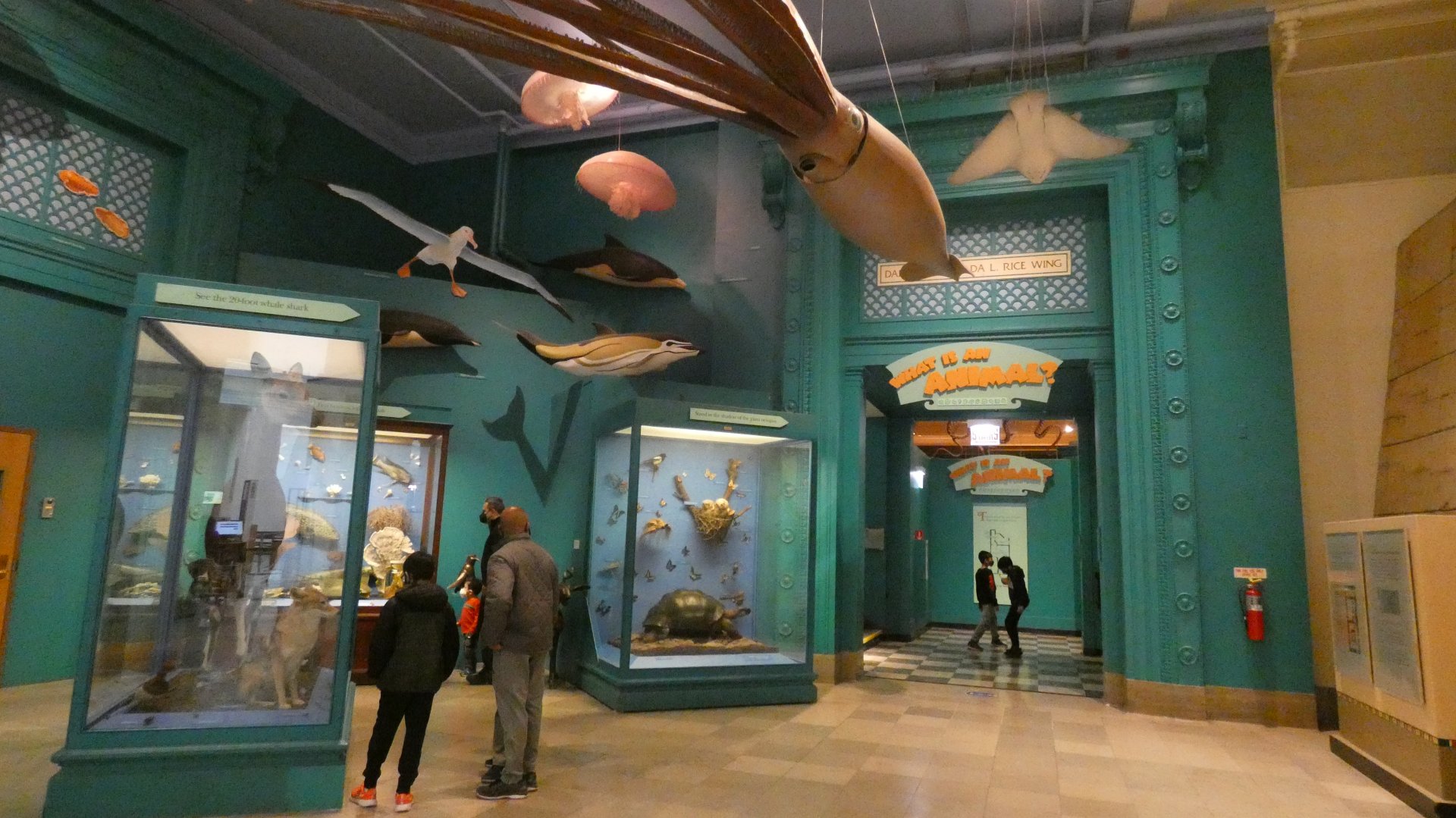 What is an Animal? - Feb. 2022