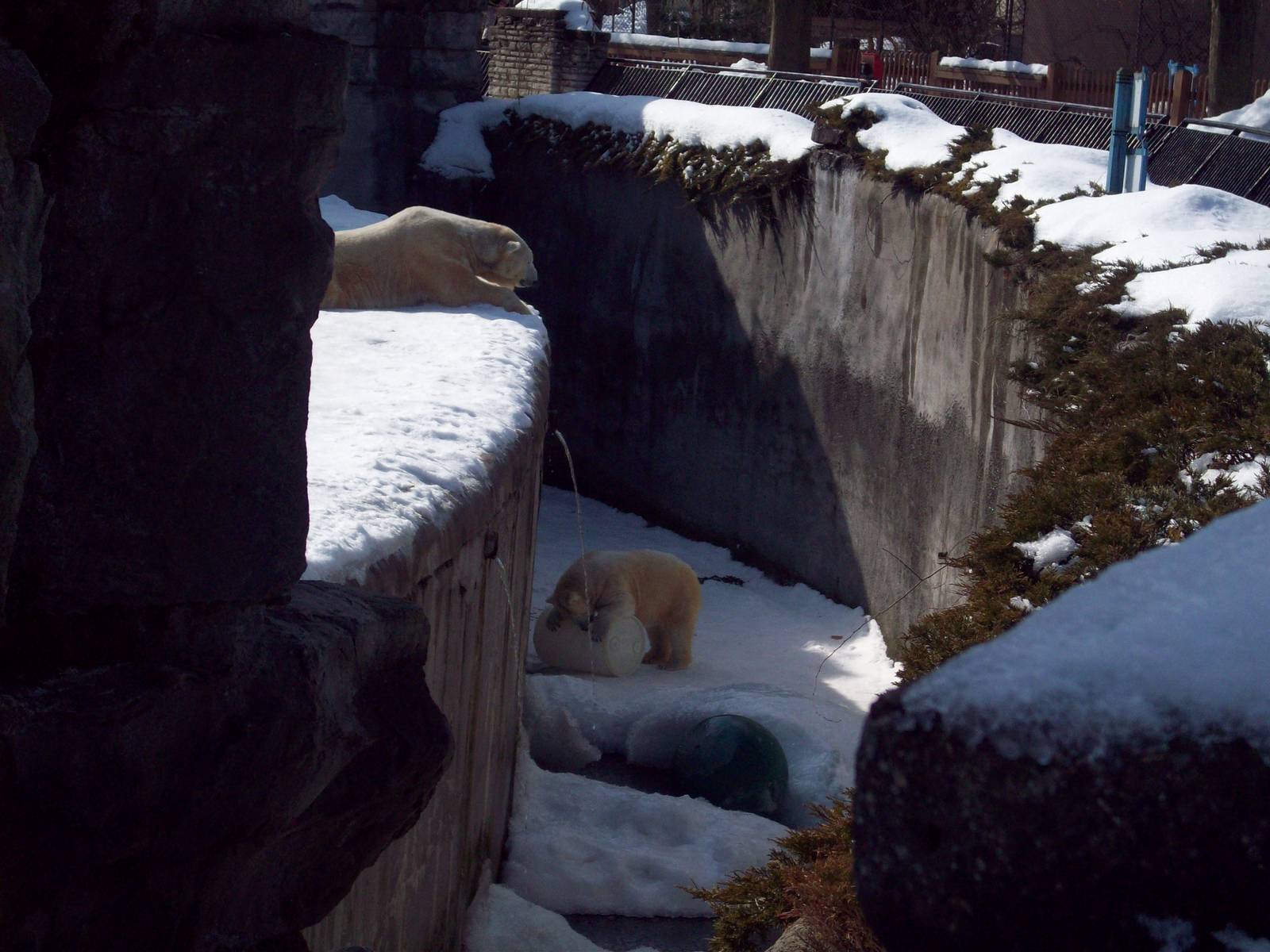 What is she doing down there?