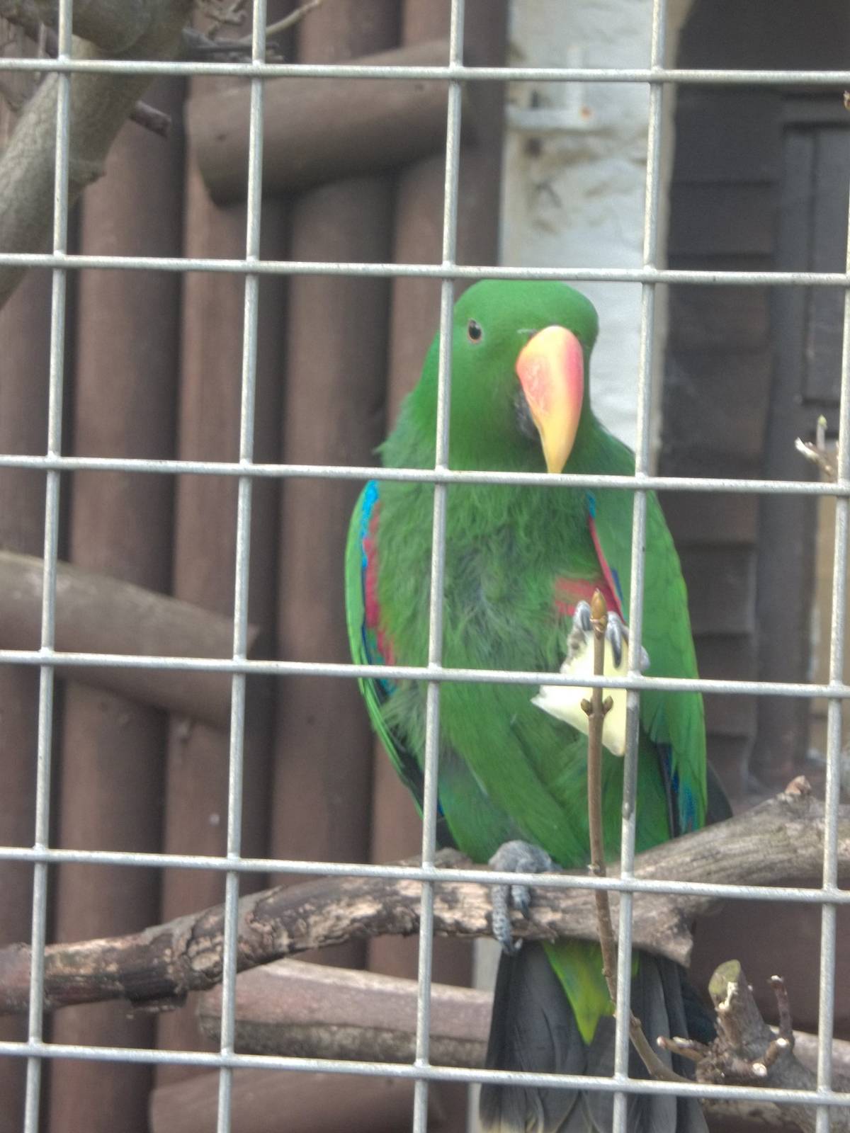 What is the difference between................, 6th February 2015