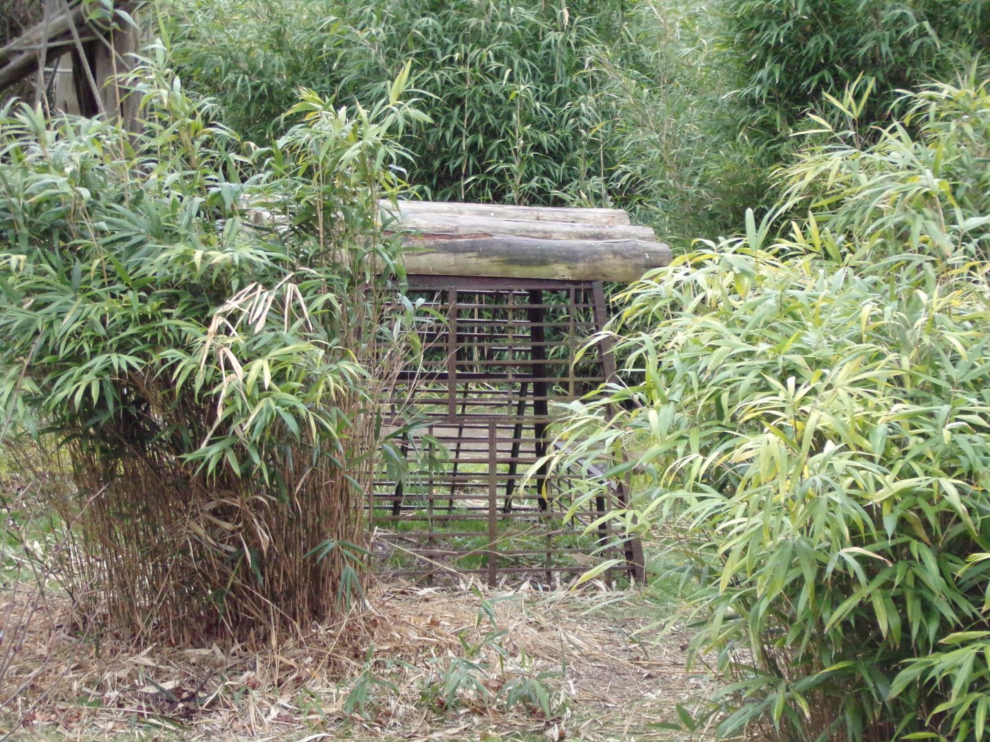 What is this cage for? 1.3.25