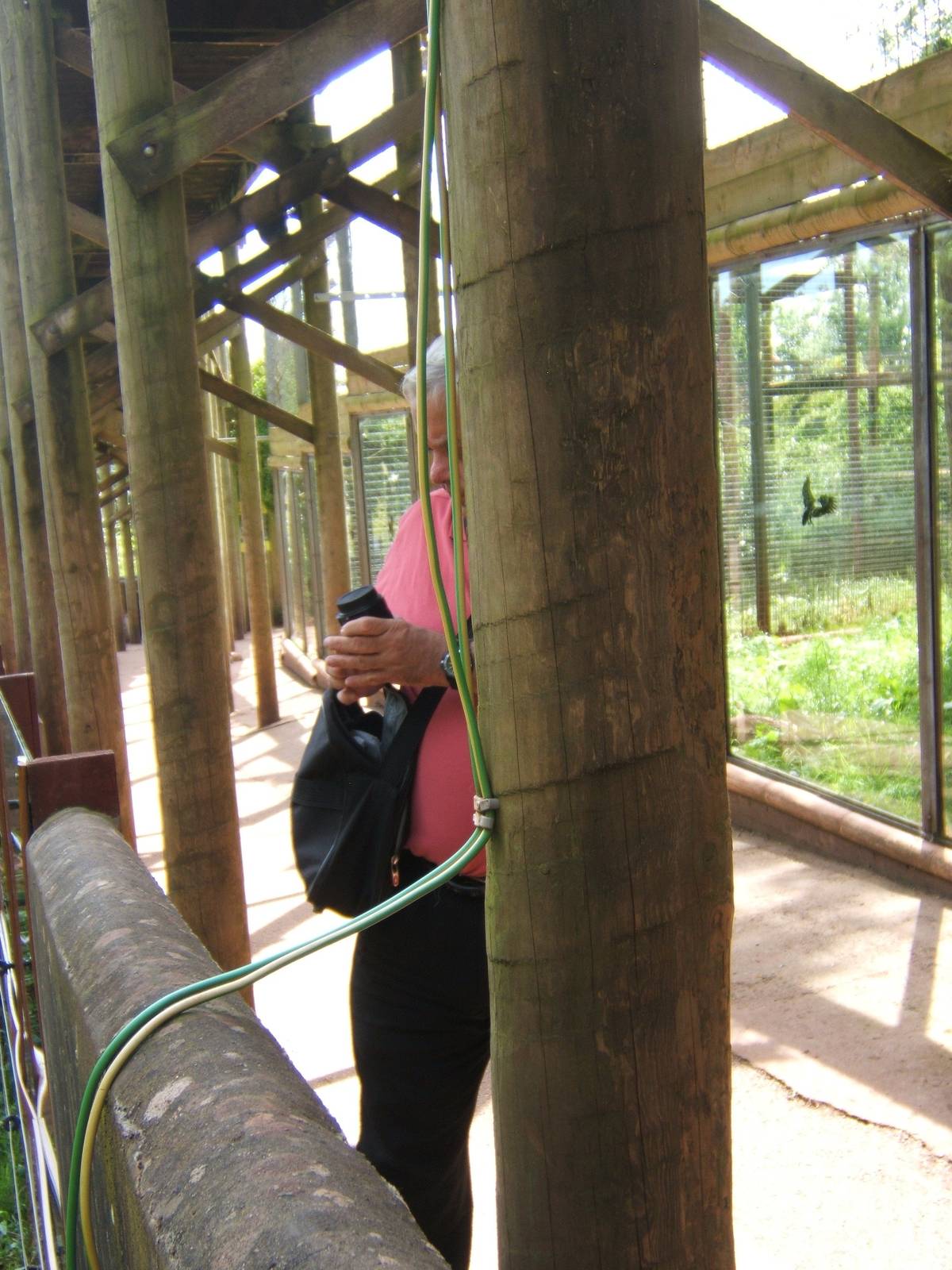 What looked like the power feed to the electric fence on the Tayra exhibit