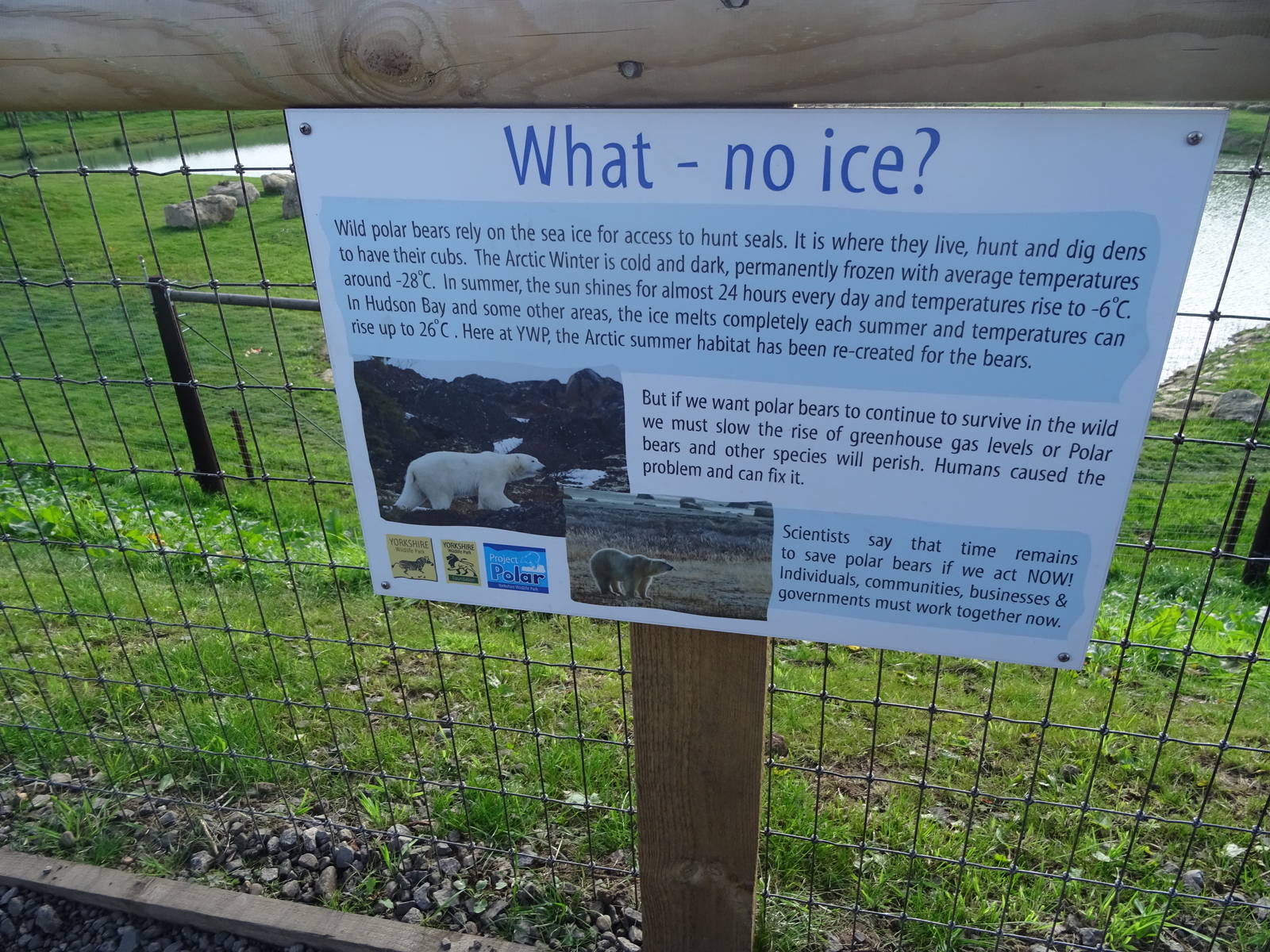 "What - no ice?" Sign at Yorkshire Wildlife Park