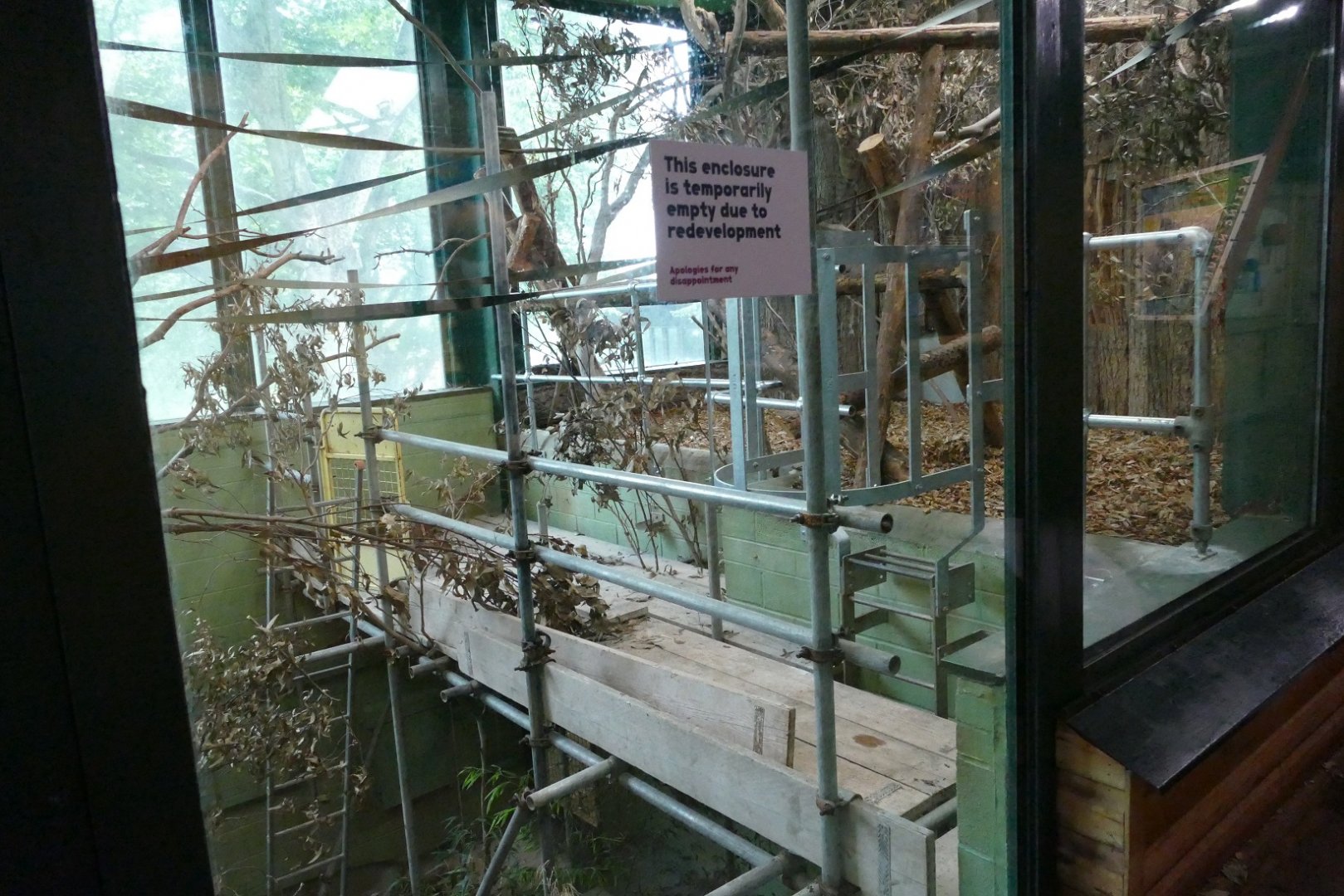 What on earth? Monkey Heights, August 2020