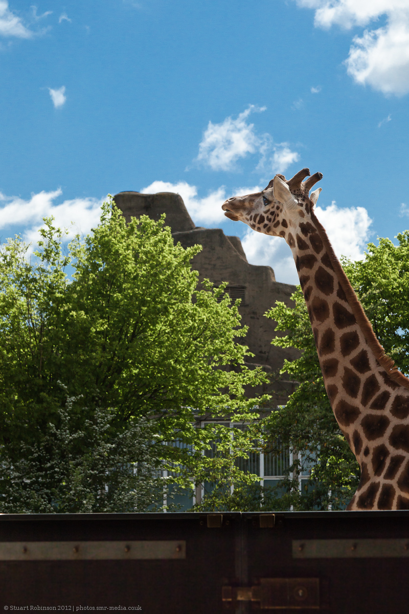 Whats Up There Then? - 12/05/2012