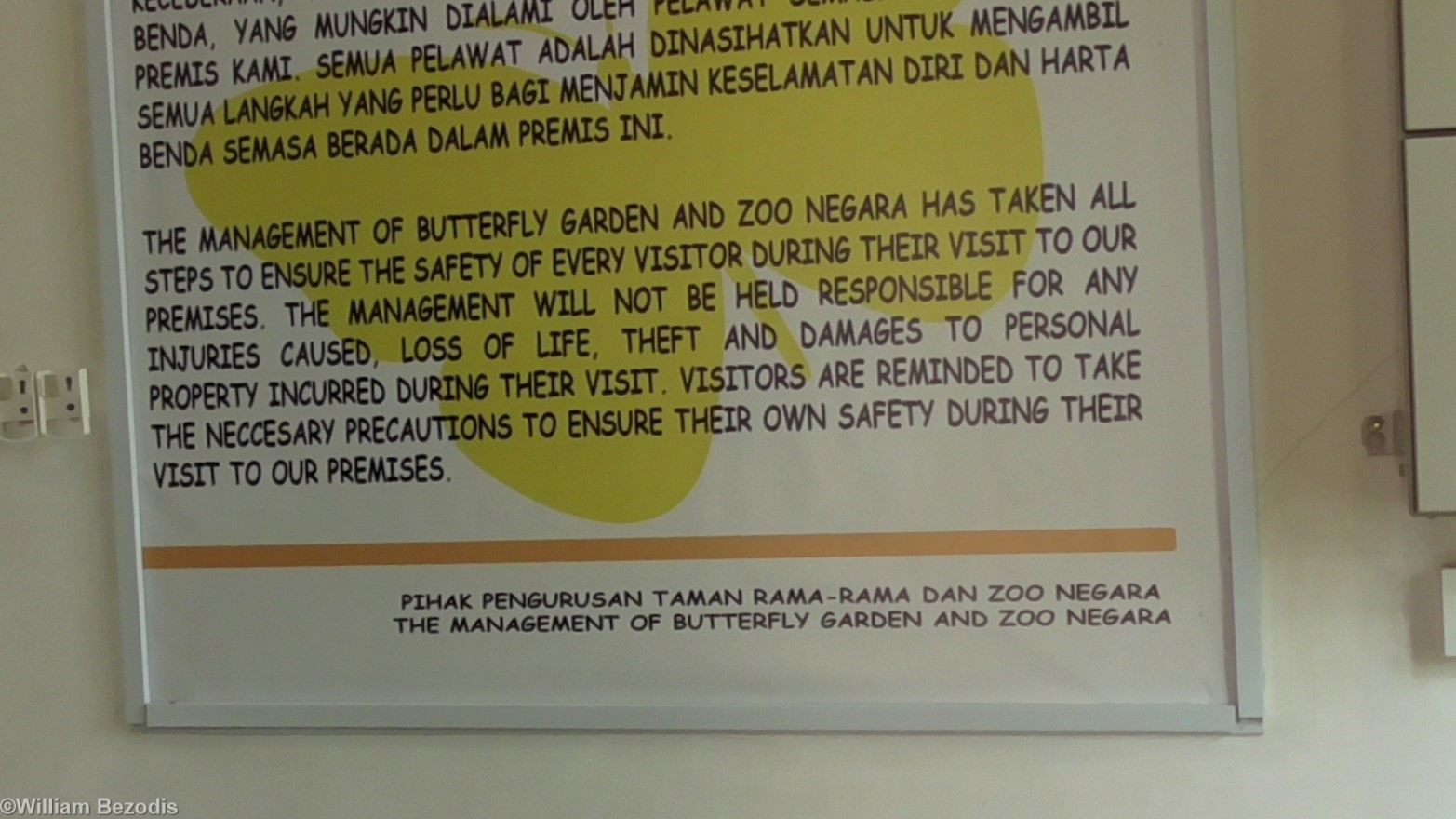 What Sort of Butterflies Have They Got?