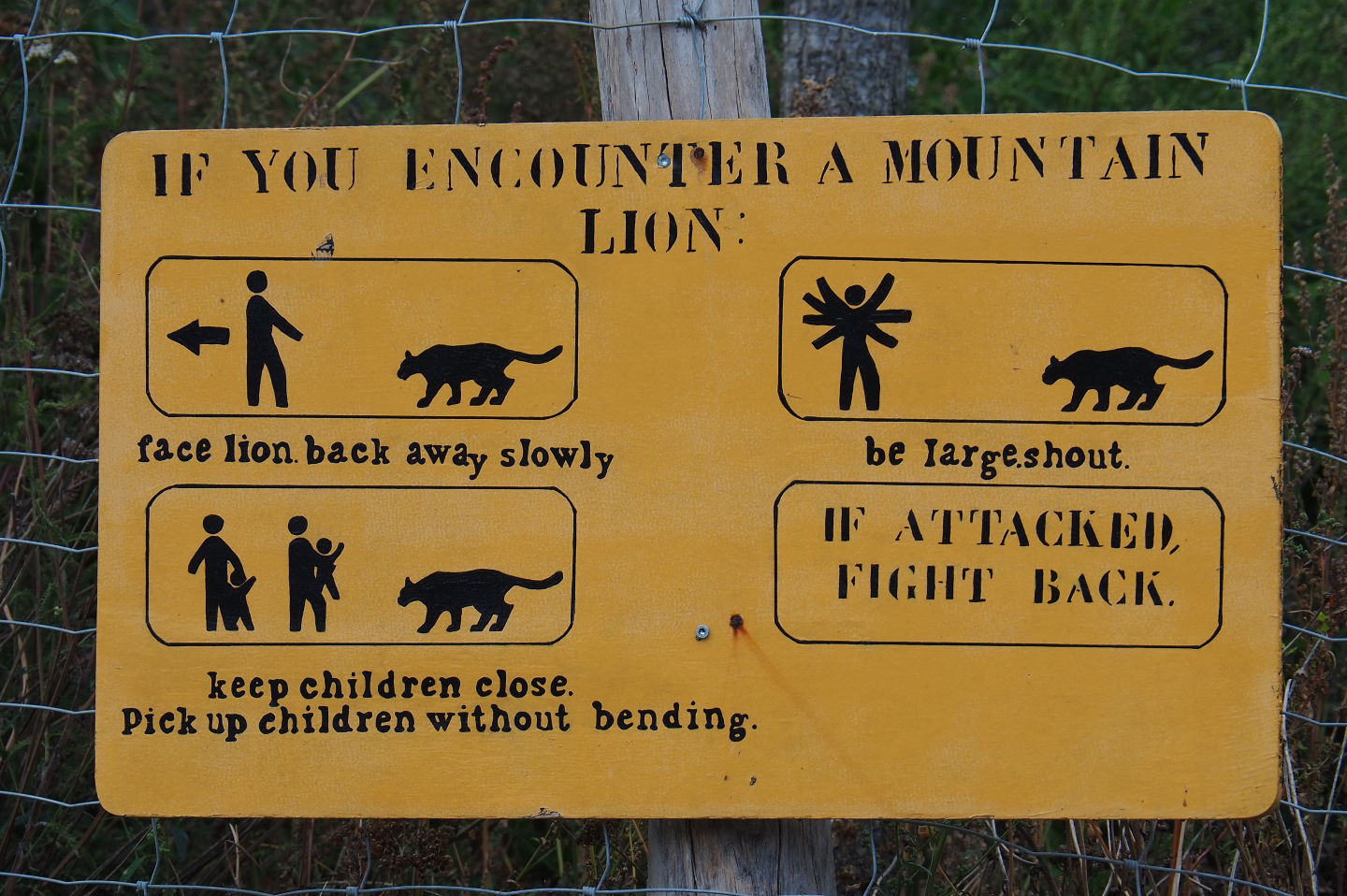 What to do if you encounter a mountain lion signage, 2020-09-02