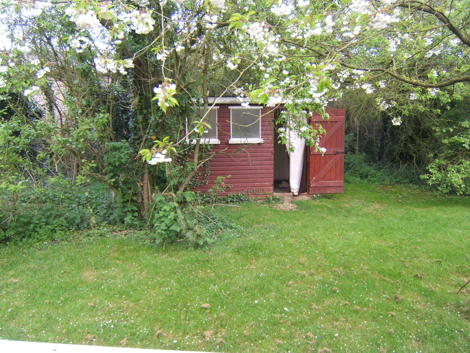 What used to be the Blue-eyed Black Lemur House