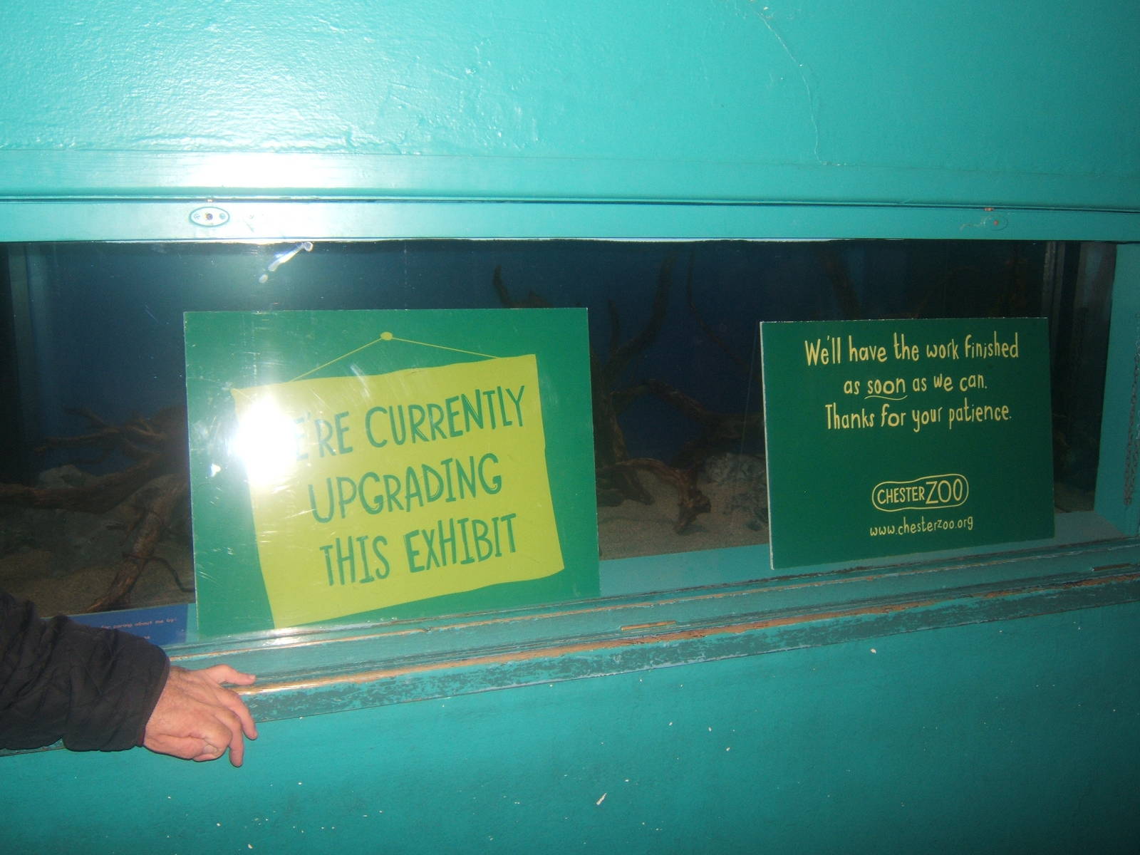 What used to be the Shrimpfish tank being converted the fresh Water