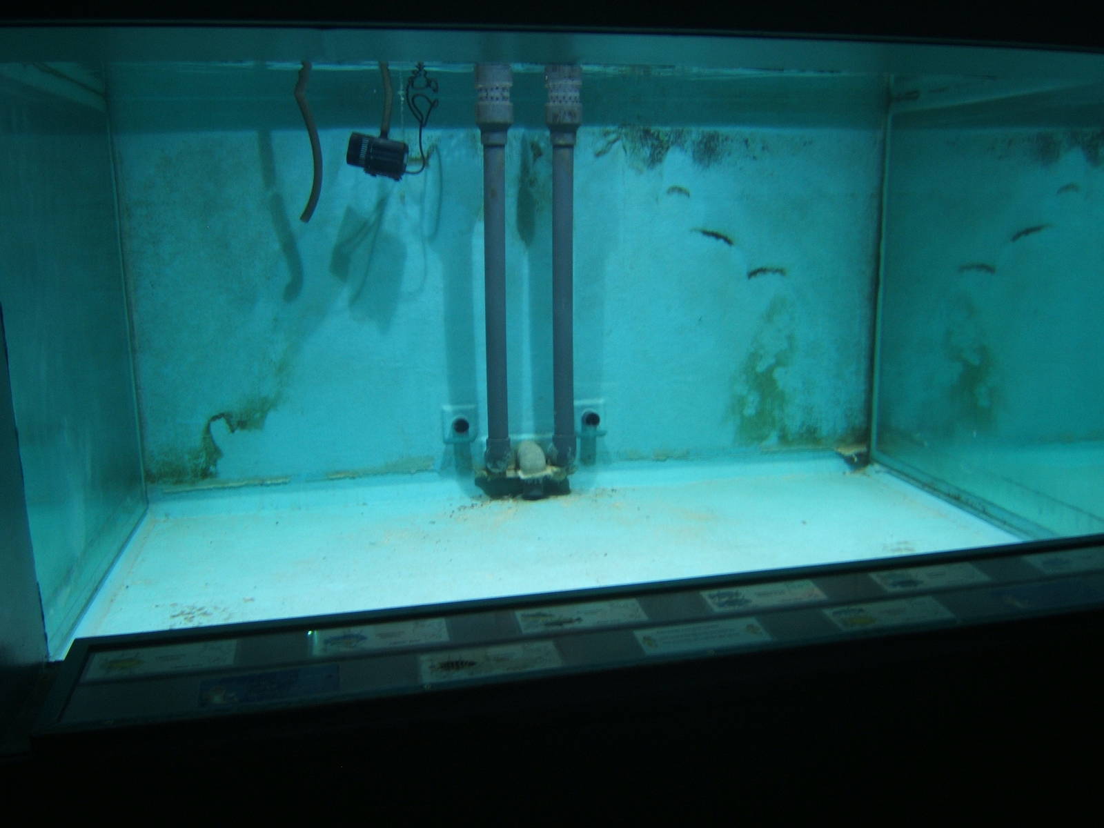 What was the Lake Malawi tank