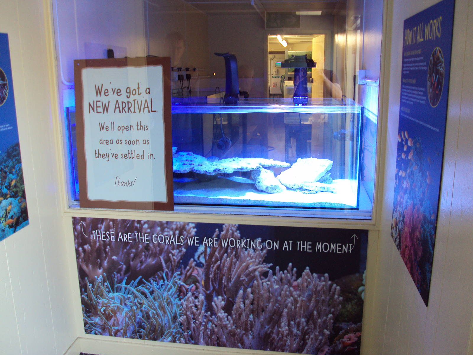 What will be a coral rearing tank