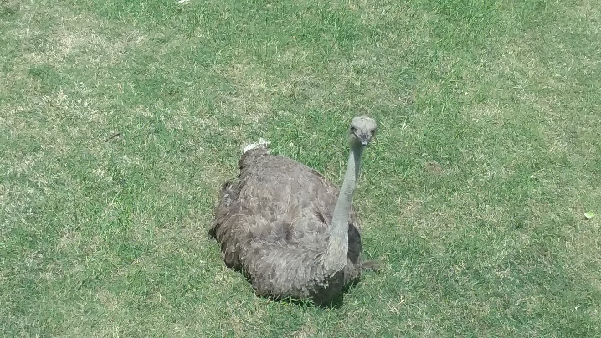 What're you lookin' at?