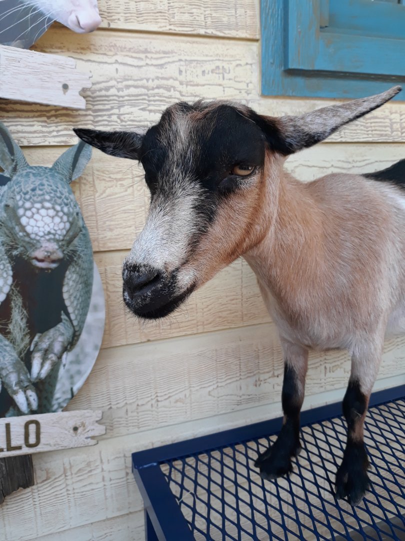 What're you looking at?