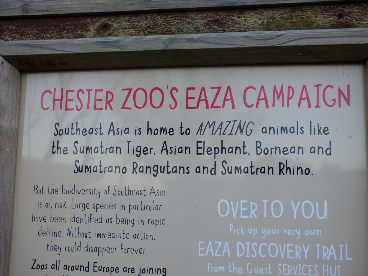 Whats a Sumatrano Rangutan?