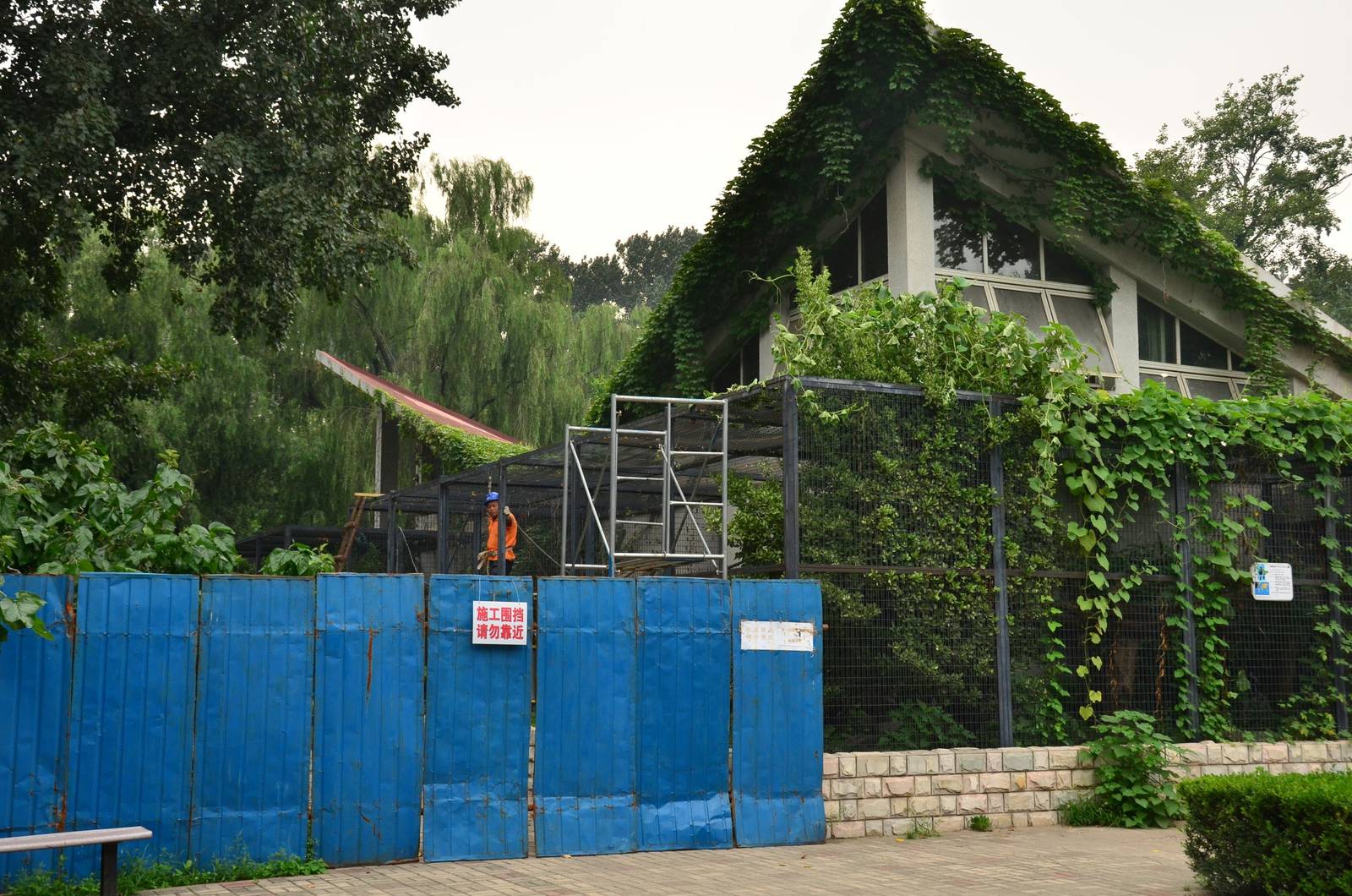 Whats going on there?