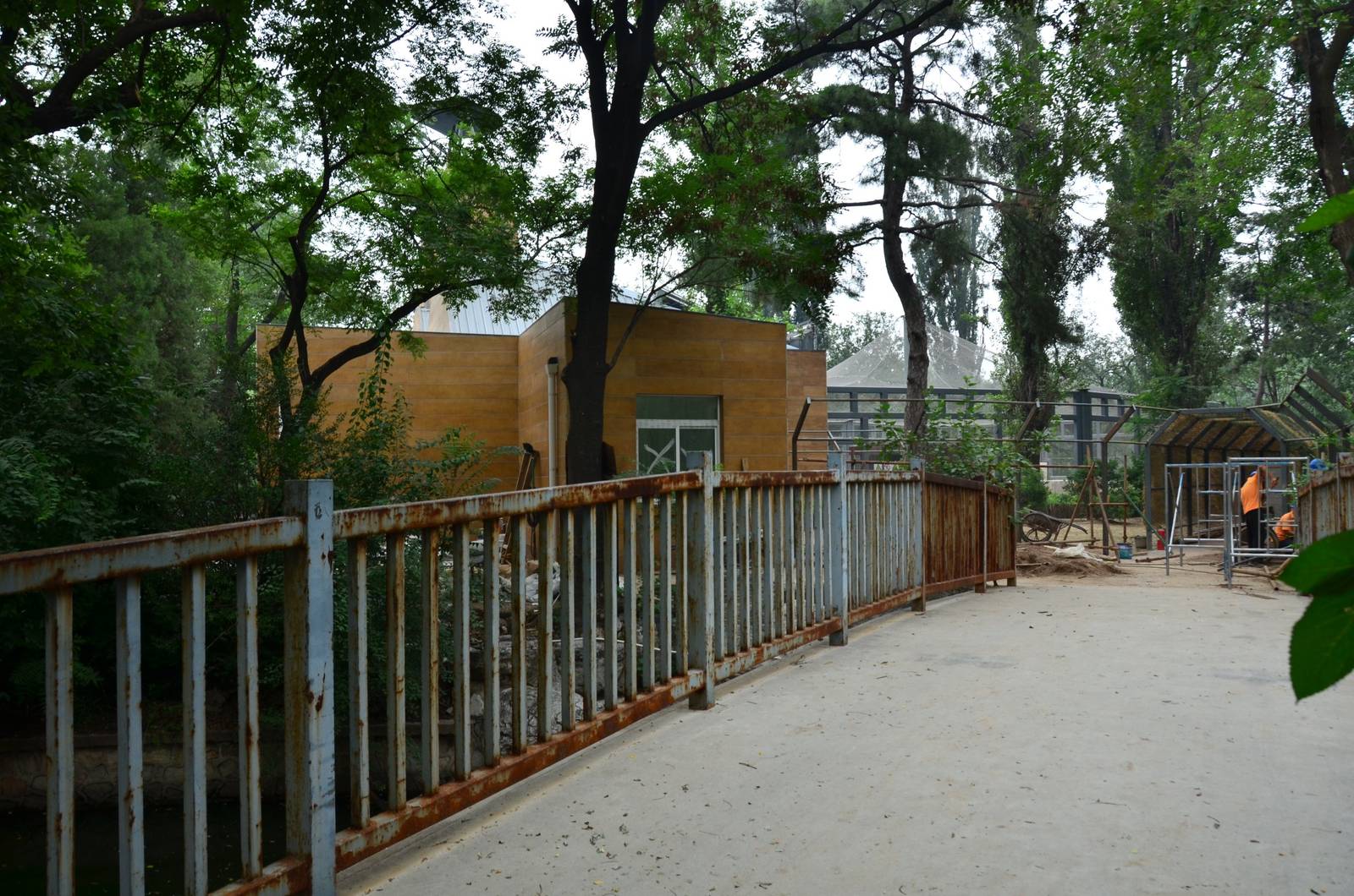 Whats going on there?