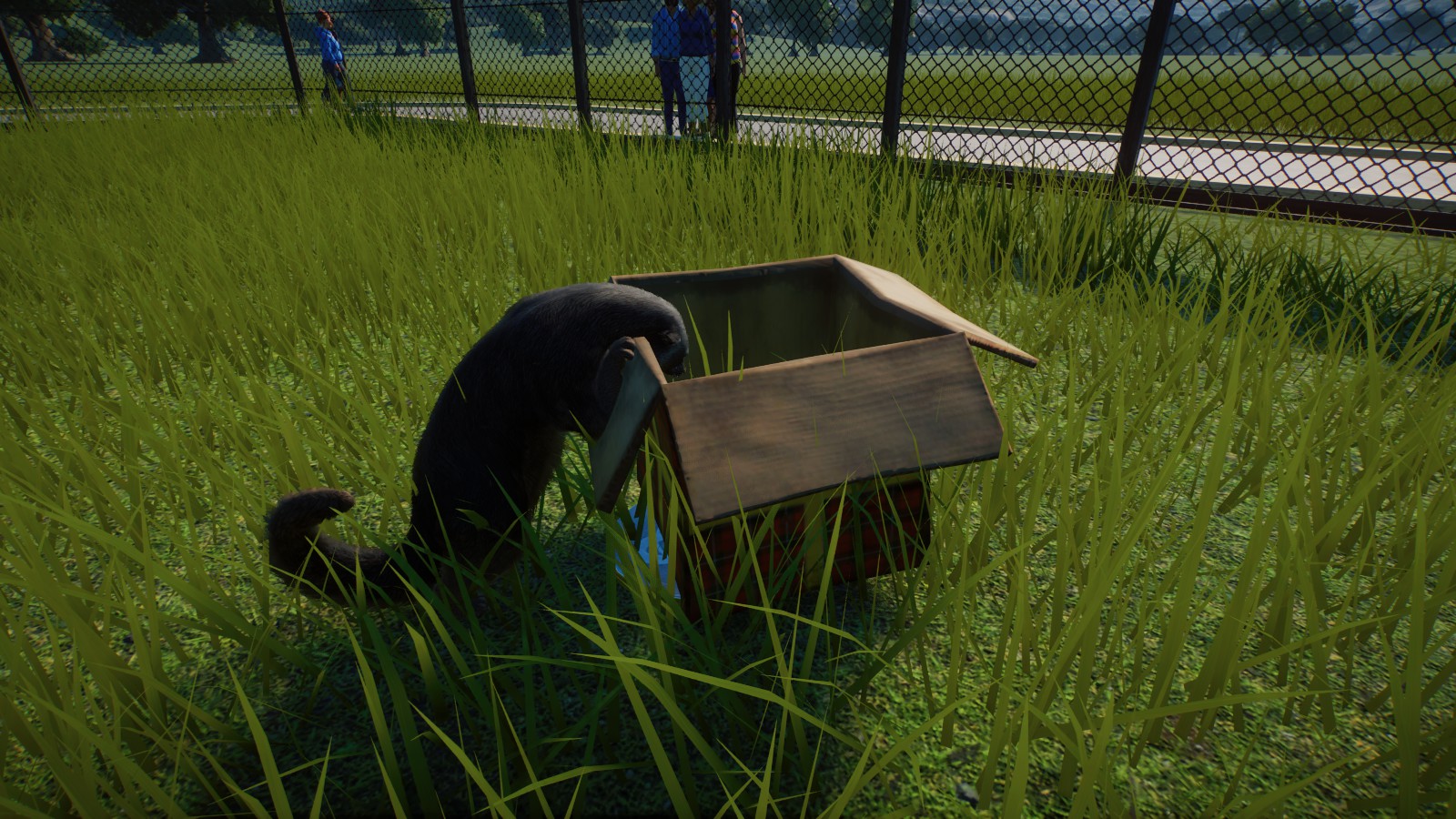 Whats in the box? Binturong edition