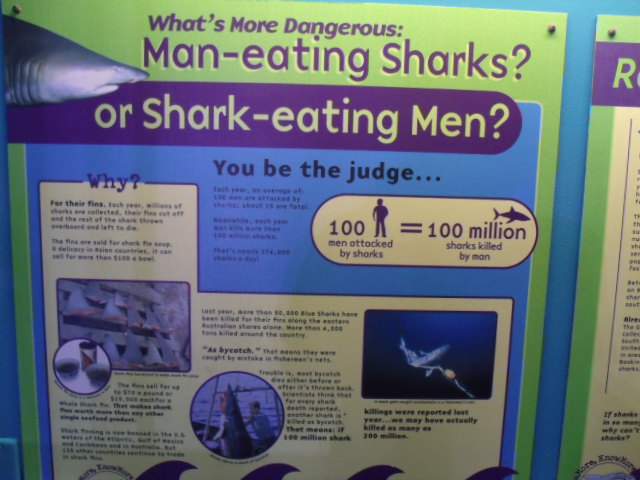 What's More Dangerous: