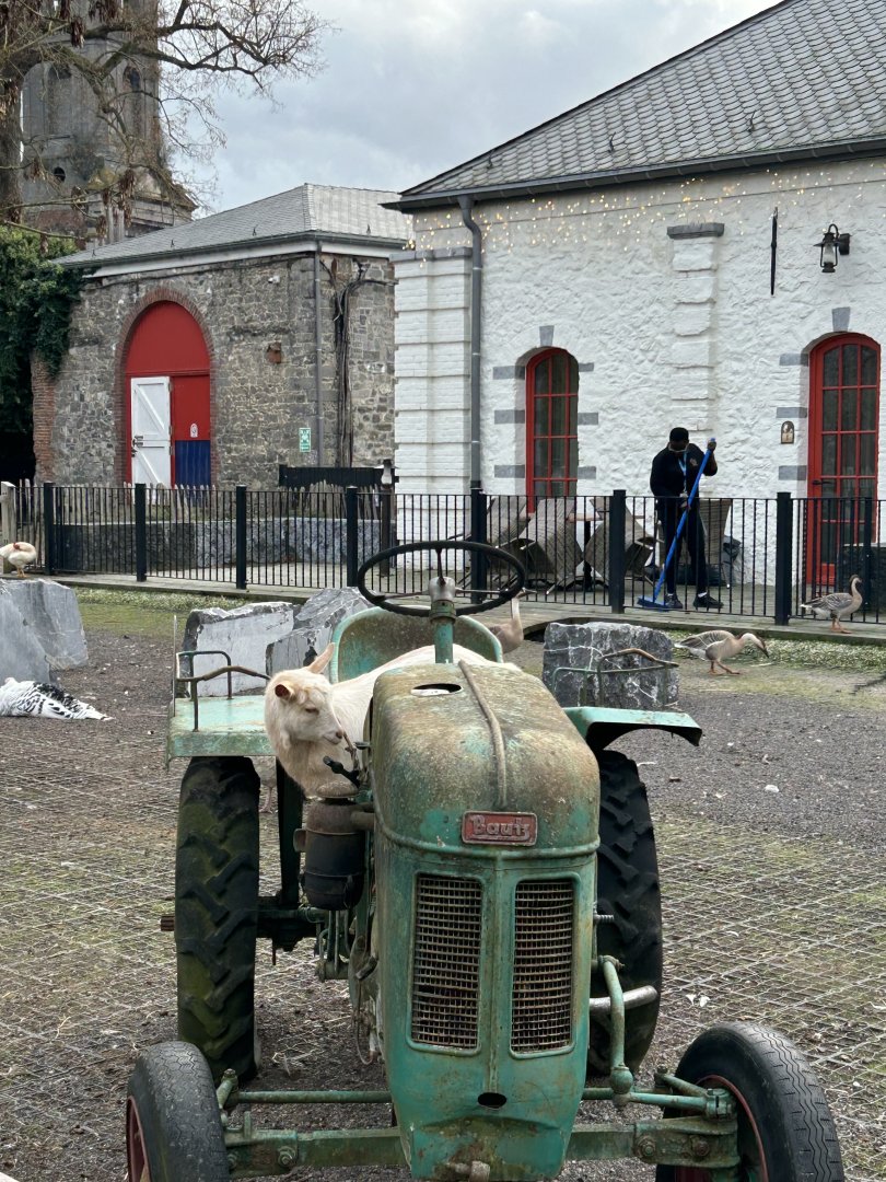 When a goat tries to drive a tractor…