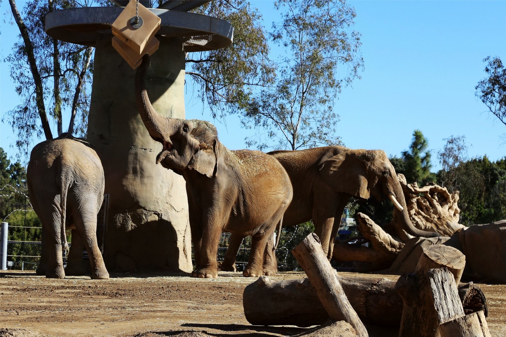 When Asia Meets Africa, December 2015