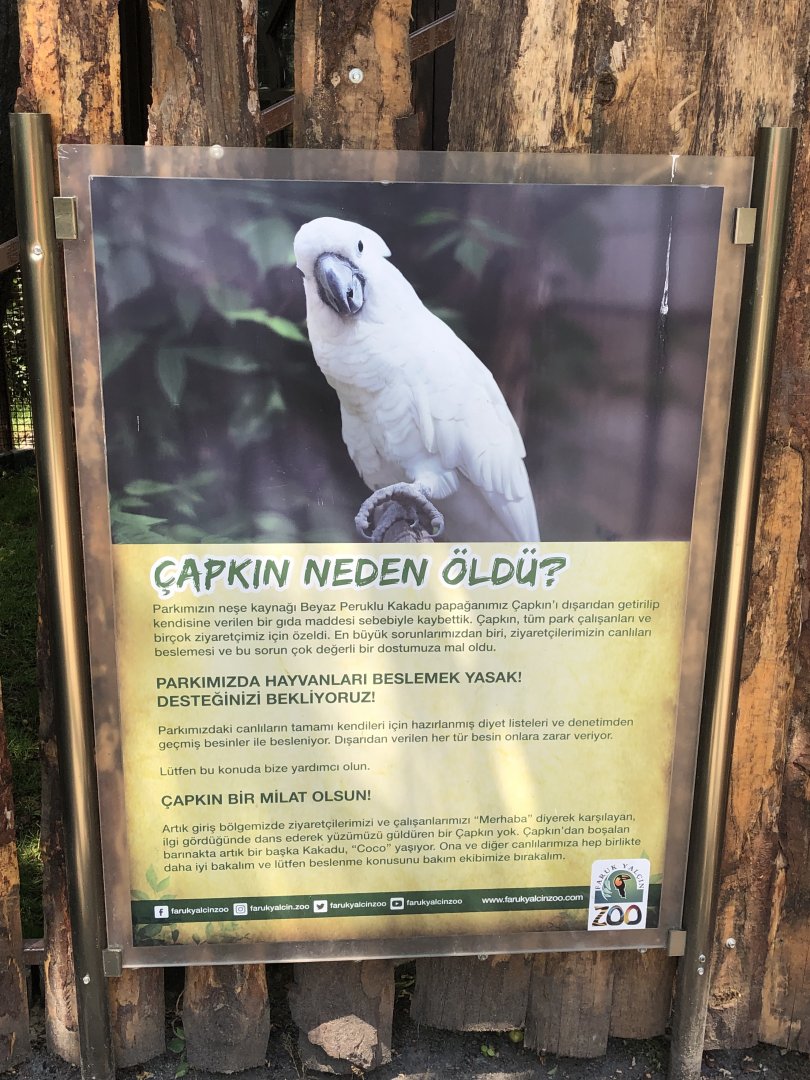 When people don’t listen to “don’t feed the animals”…