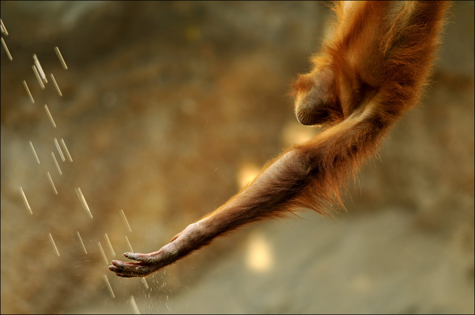 When the rain begins to fall