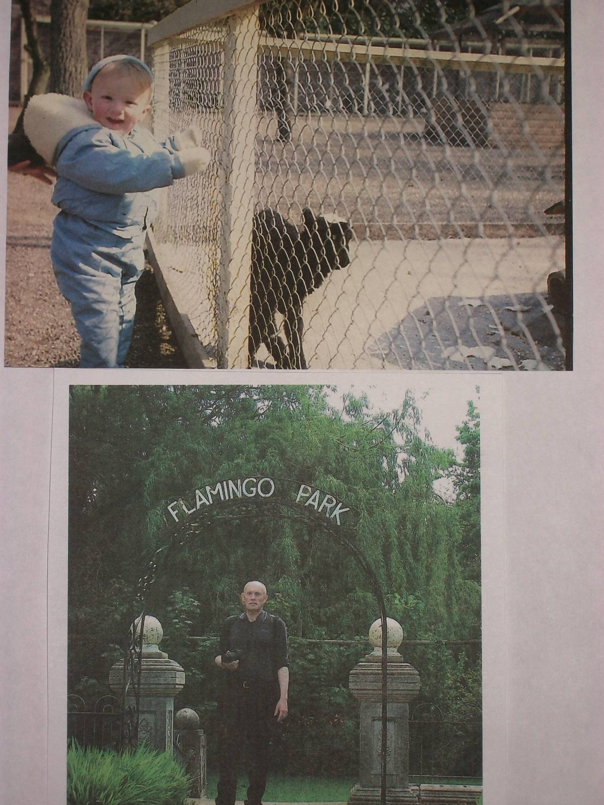 Where did the time go?