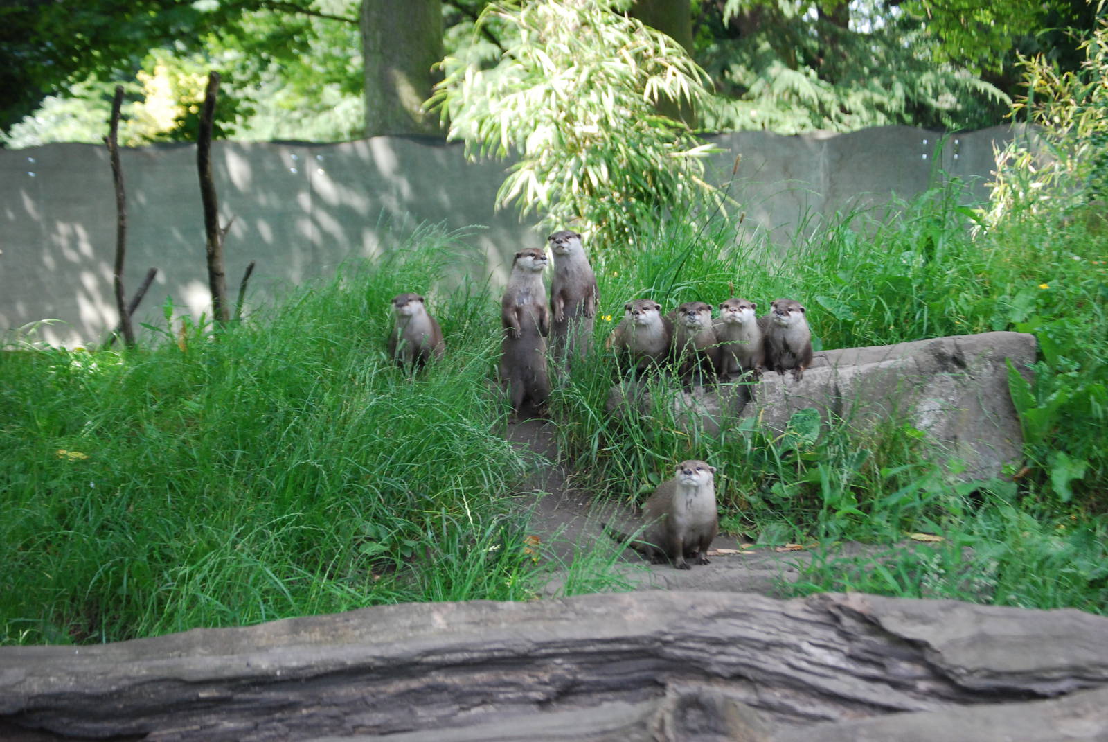 Where is our **** food?