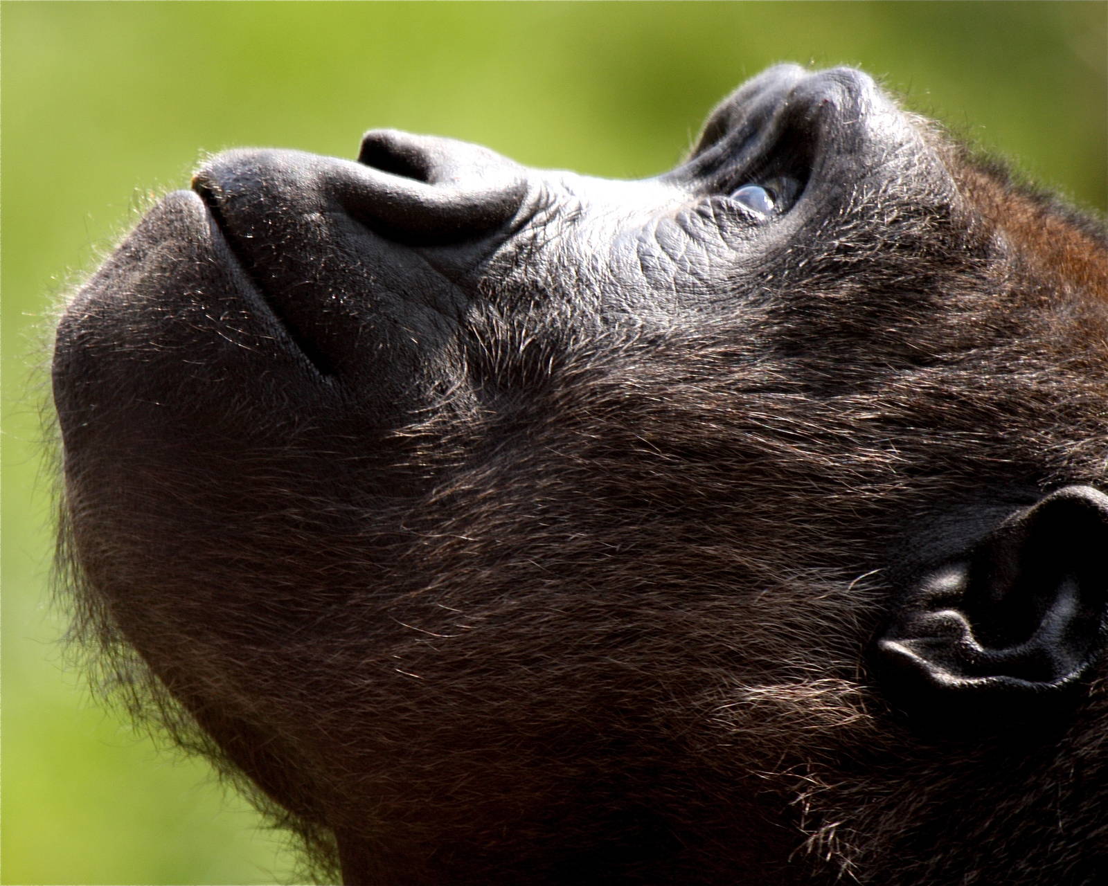 Where is that going?