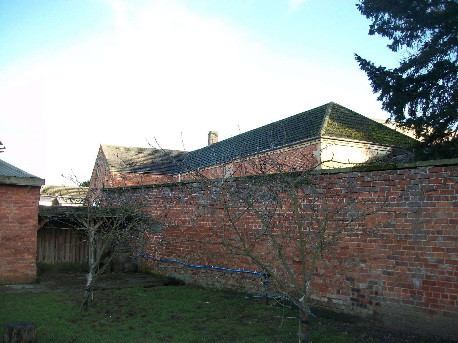 Where the Anteater ambled, 3rd January 2014