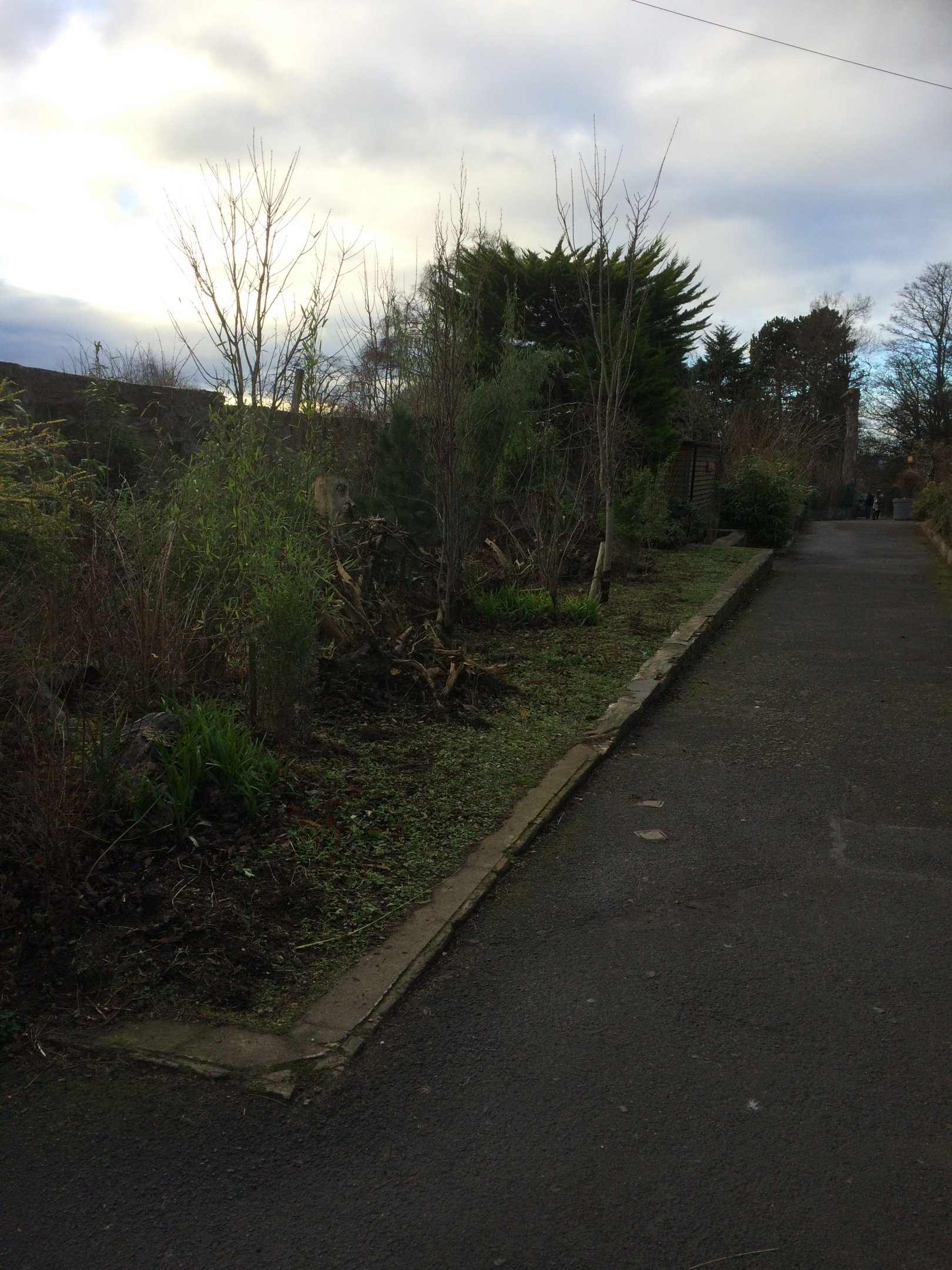 Where the birds once flew.....