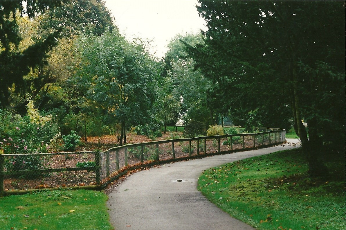 Where the Canids congregated 23rd October 1999