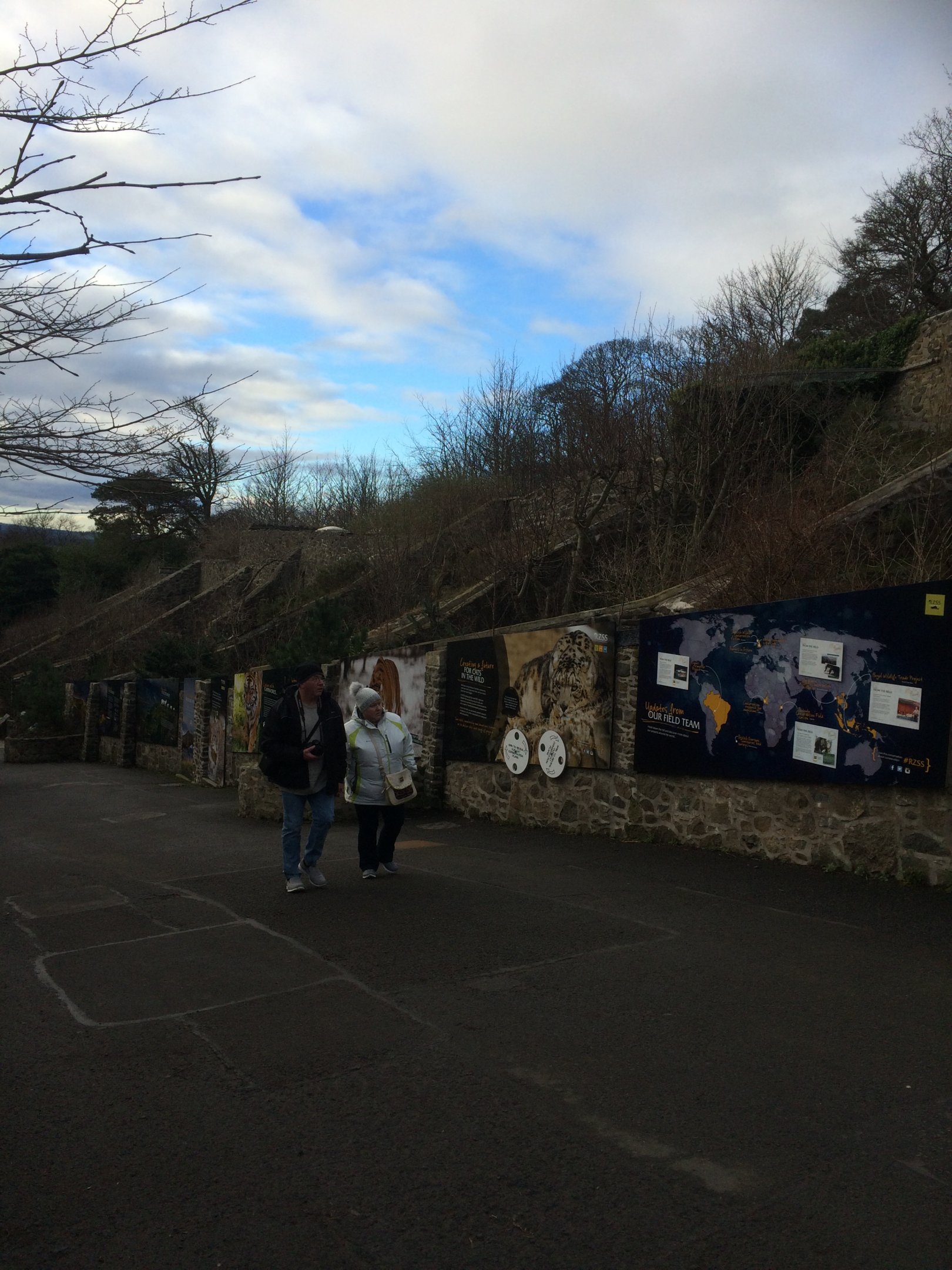 Where the cats once roared.....