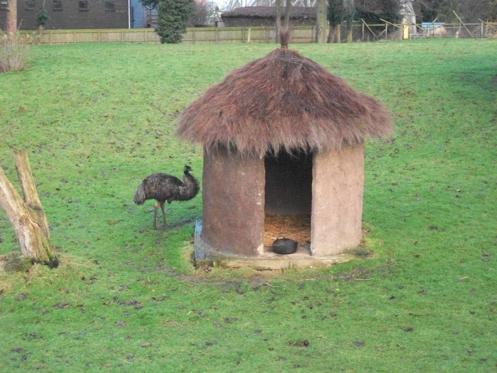 Where the Cockatoos chewed, 27th December 2013