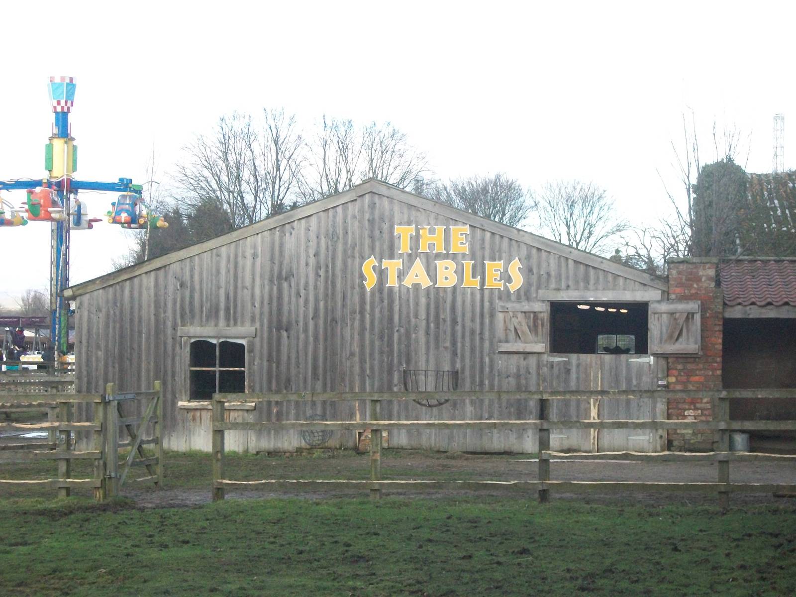 Where the Dolphins dived 4th January 2013