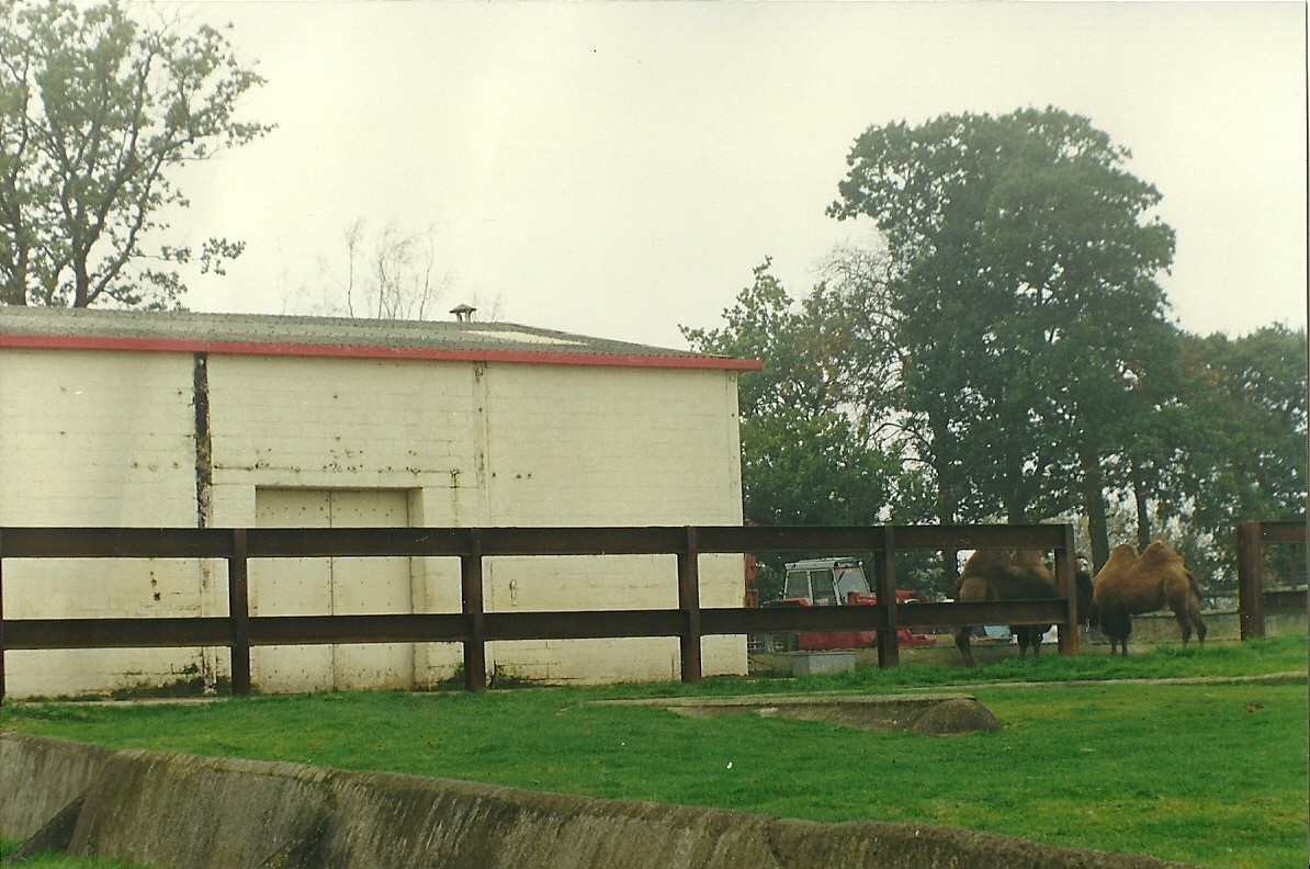 Where the Elephant trumpeted 17th October 1997