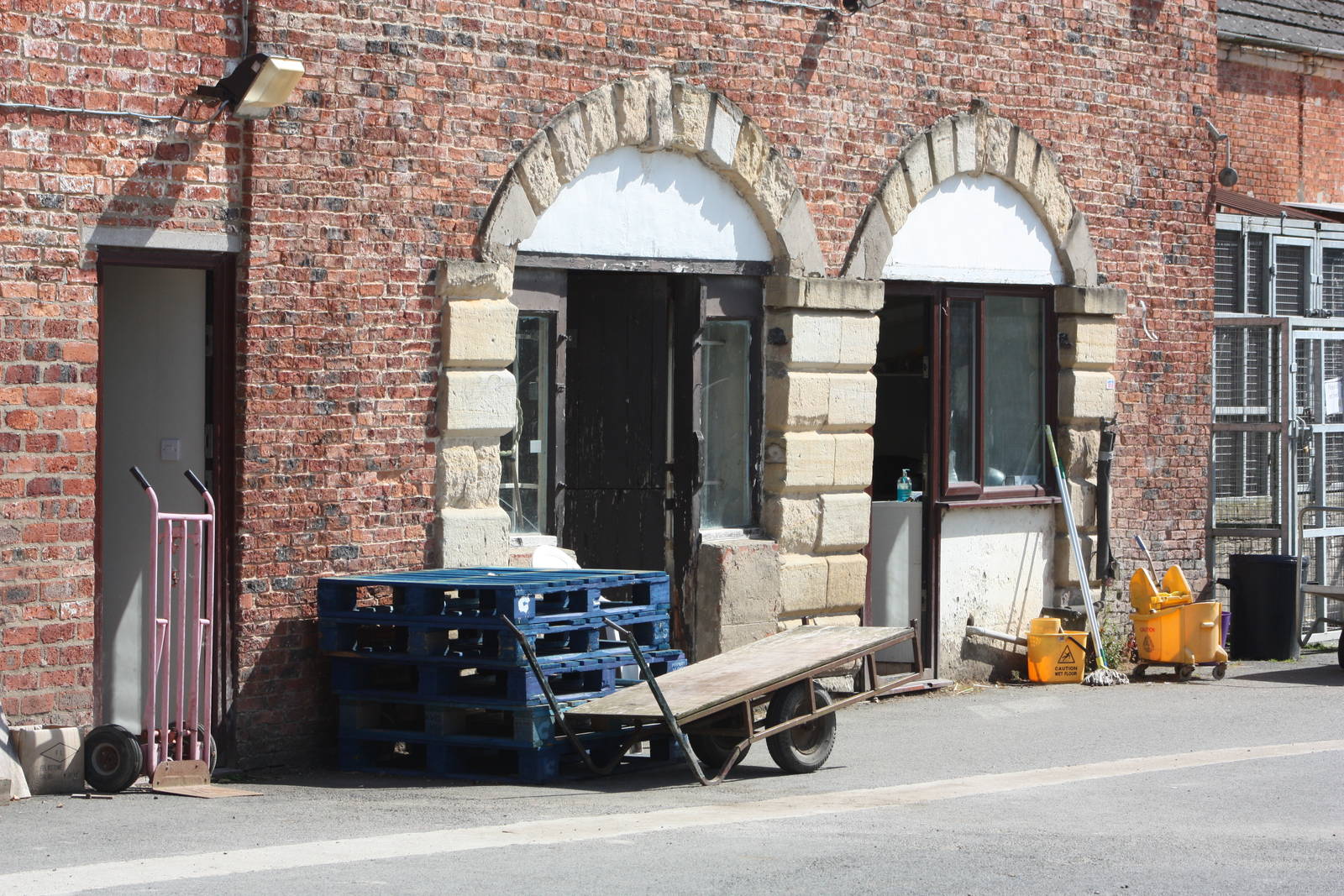 Where the Elephants excited, 4th August 2014