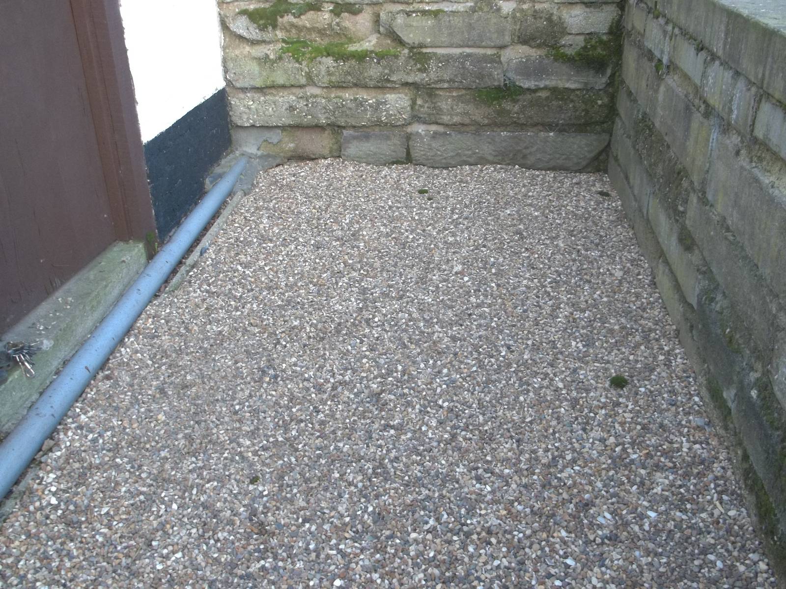 Where the Himalayan Black Bear snuffled, 20th December 2014